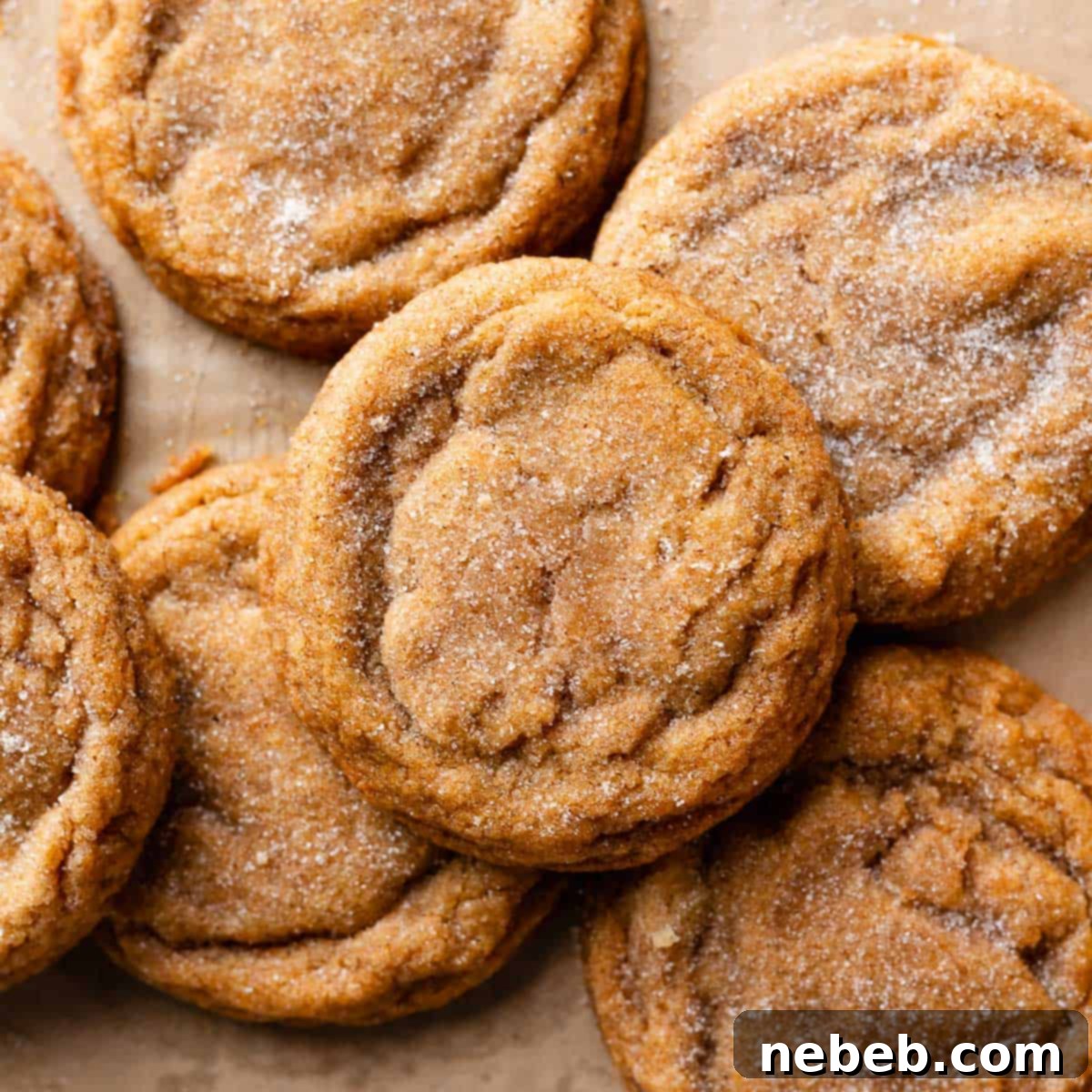 Spiced Pumpkin Snickerdoodle Delights 1 featured 11741