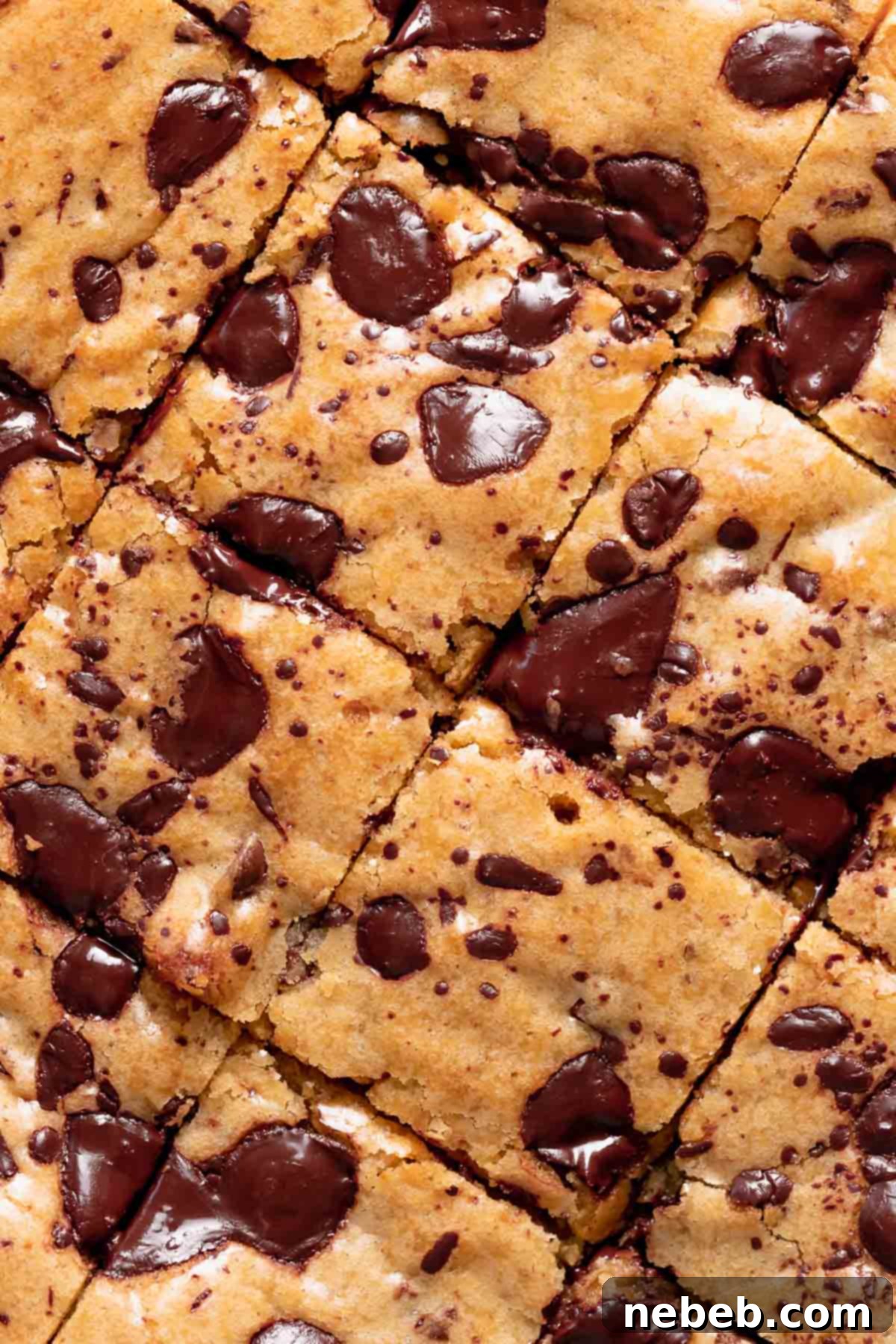 baked brown butter chocolate chip blondies, cut into perfect squares, with a few extra chocolate pieces on top.