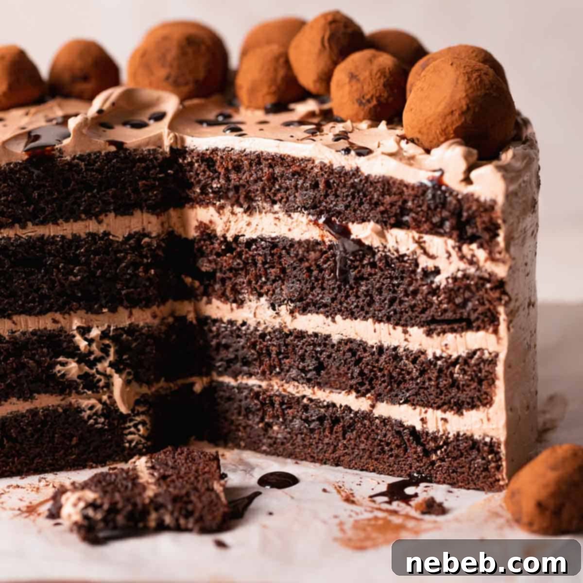 A close-up of a frosted chocolate coffee cake with coffee buttercream, adorned with chocolate shavings, ready to be served and enjoyed.
