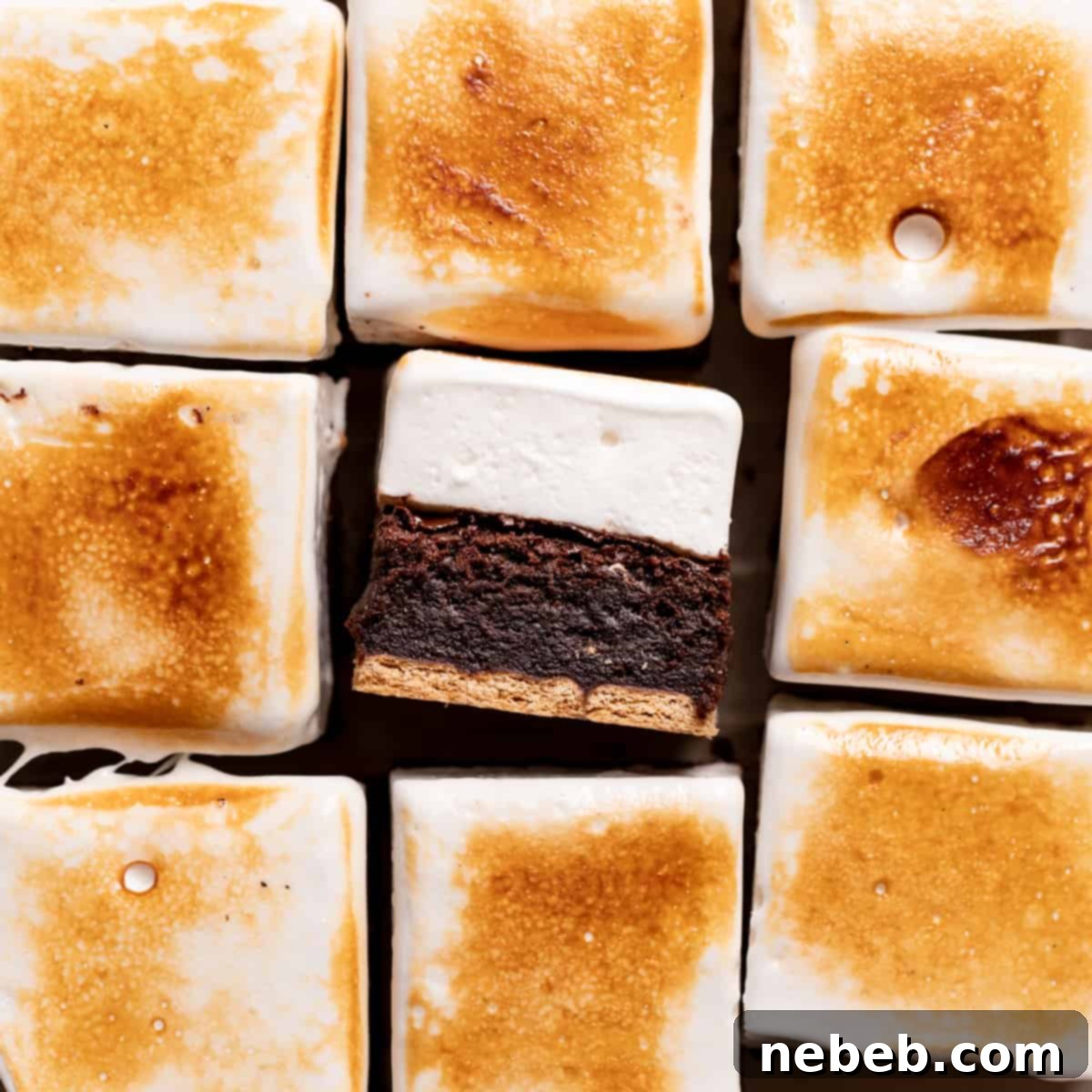 smores brownies cut into squares.