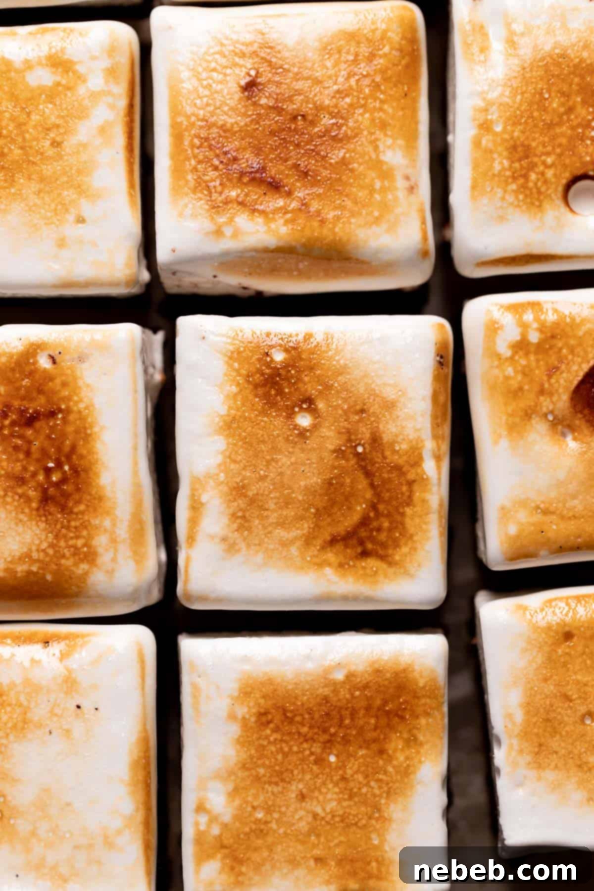 overhead shot of the toasted marshmallow top of the smores brownies.