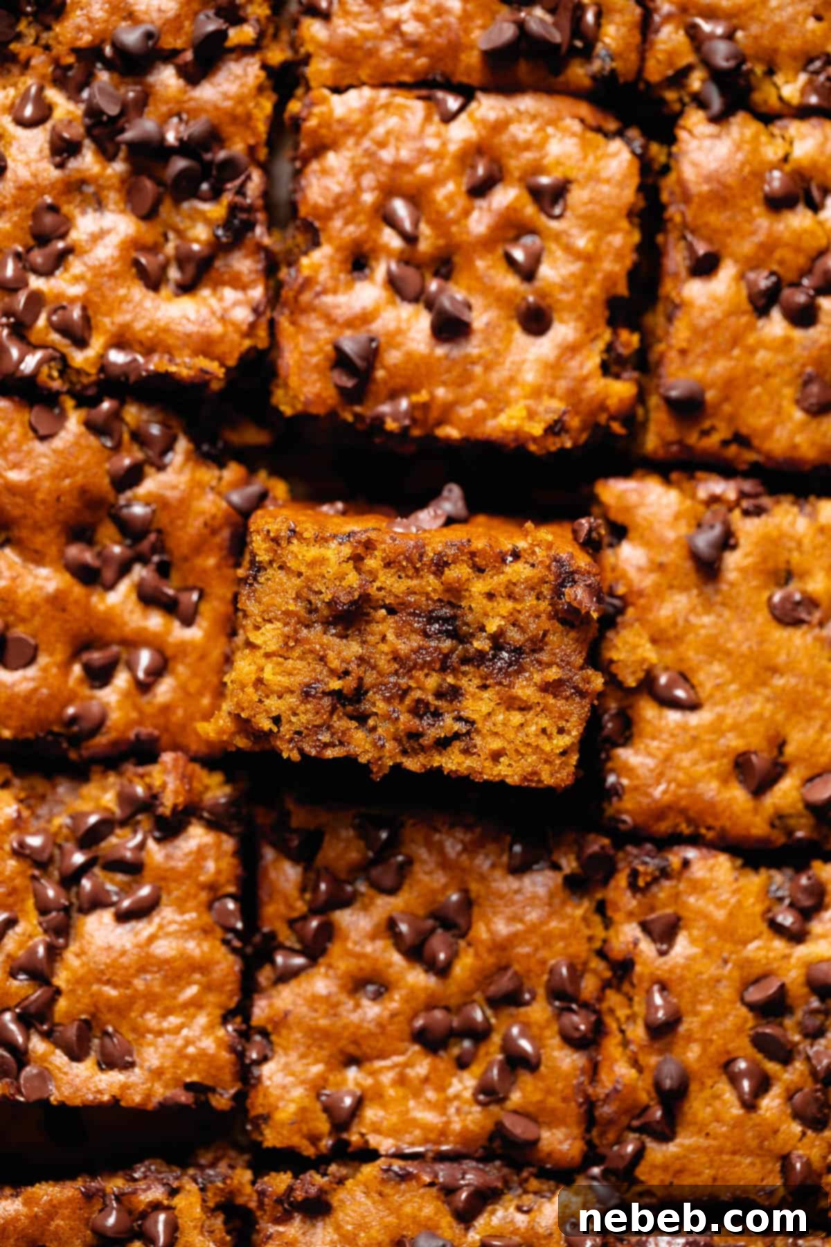 A slice of chocolate chip pumpkin cake on its side to show the soft and moist texture, showcasing the rich brown butter flavor and mini chocolate chips.