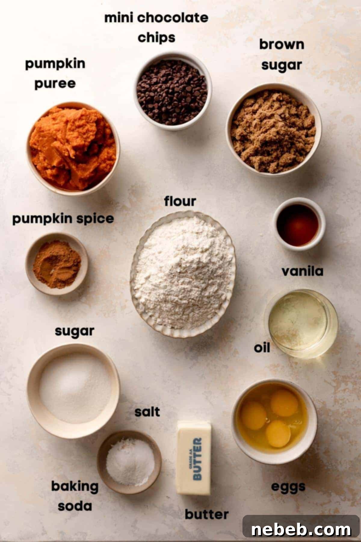 ingredients needed to make chocolate chip pumpkin cake, including pumpkin puree, mini chocolate chips, spices, and various sugars.
