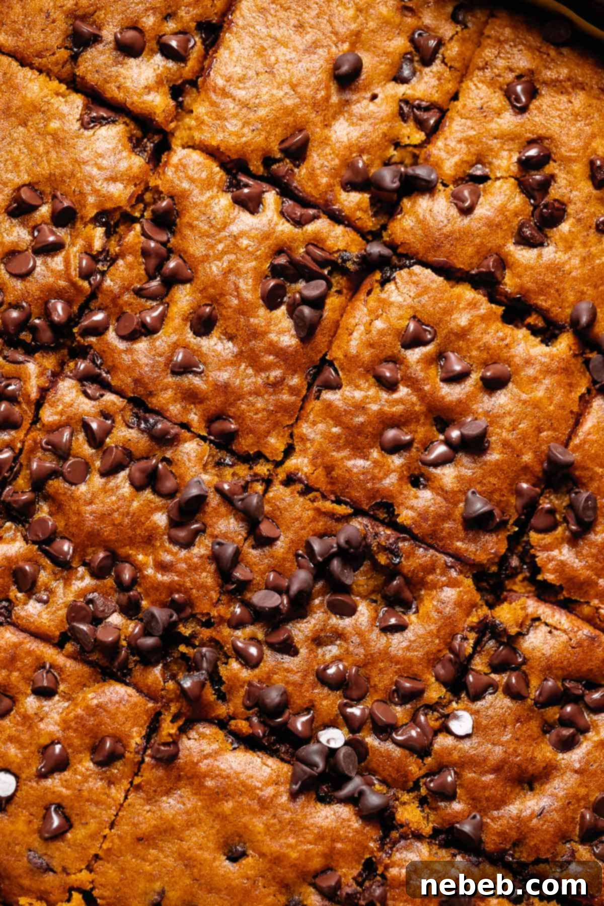 Overhead shot of the top of the chocolate pumpkin cake, showing its moist texture and many chocolate chips.