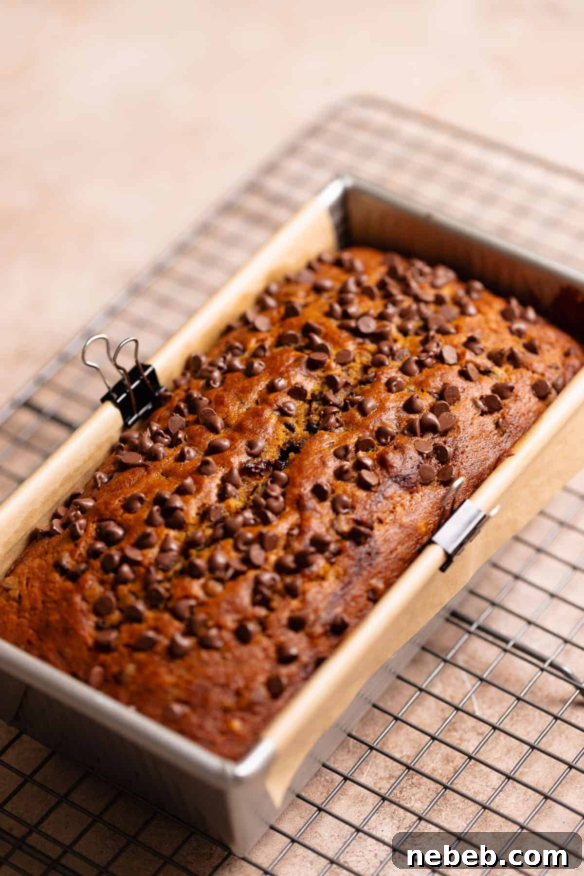 A perfectly baked chocolate chip pumpkin bread loaf cooling on a wire rack.