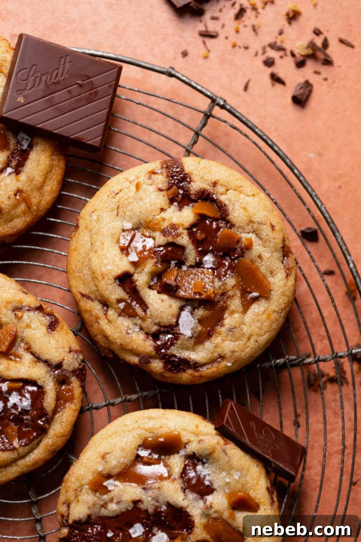 Decadent Brown Butter Toffee Chocolate Chip Cookies 2 Toffee cookies with chocolate chips and toffee bits on top.
