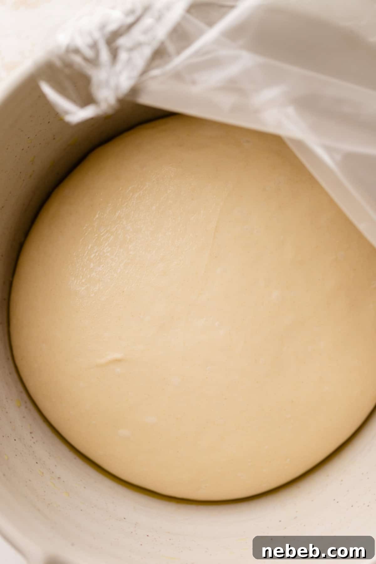 Perfectly Soft and Chewy Homemade Pizza Dough 7 Pizza dough in a bowl after it has doubled in size, ready to be punched down.