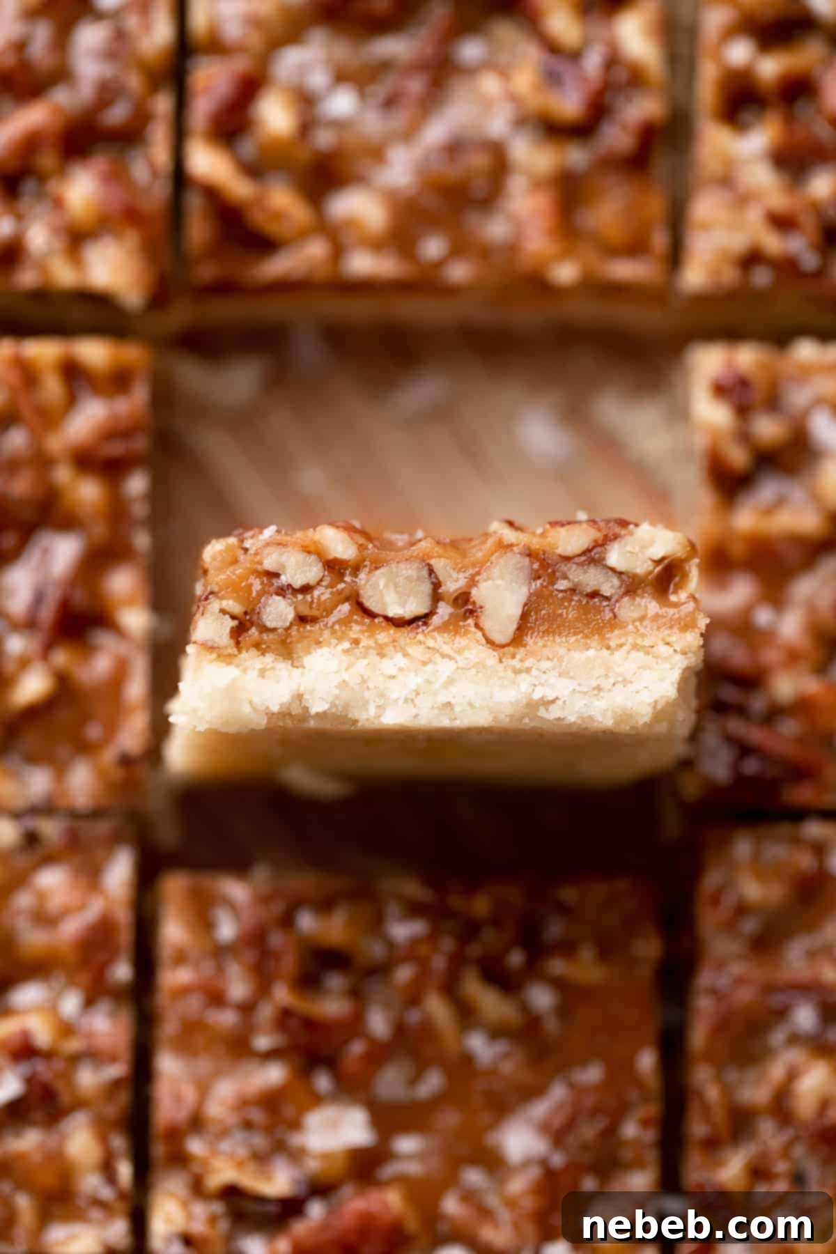 pecan bar with shortbread crust cut into bars.