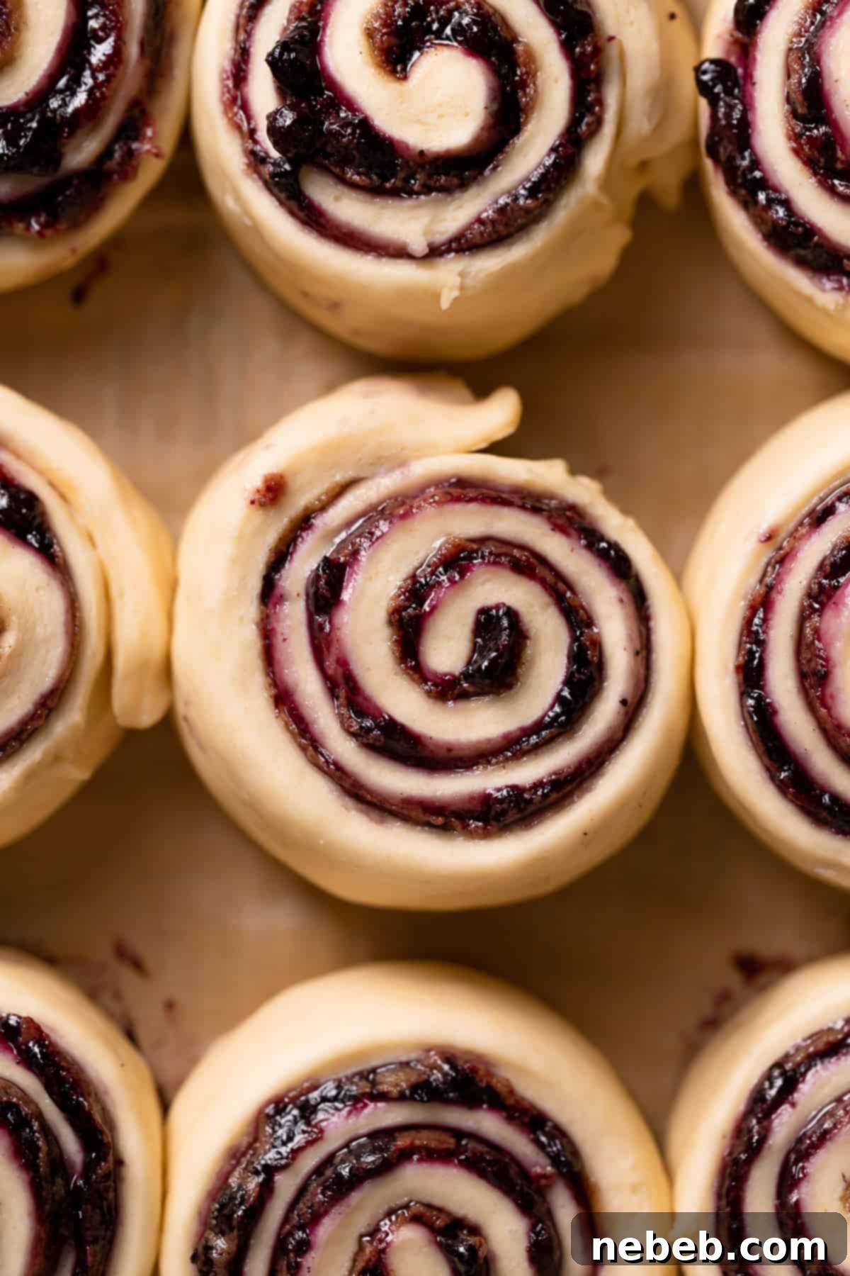 Blueberry cinnamon rolls placed in a baking pan, covered with plastic wrap, before their second rise.