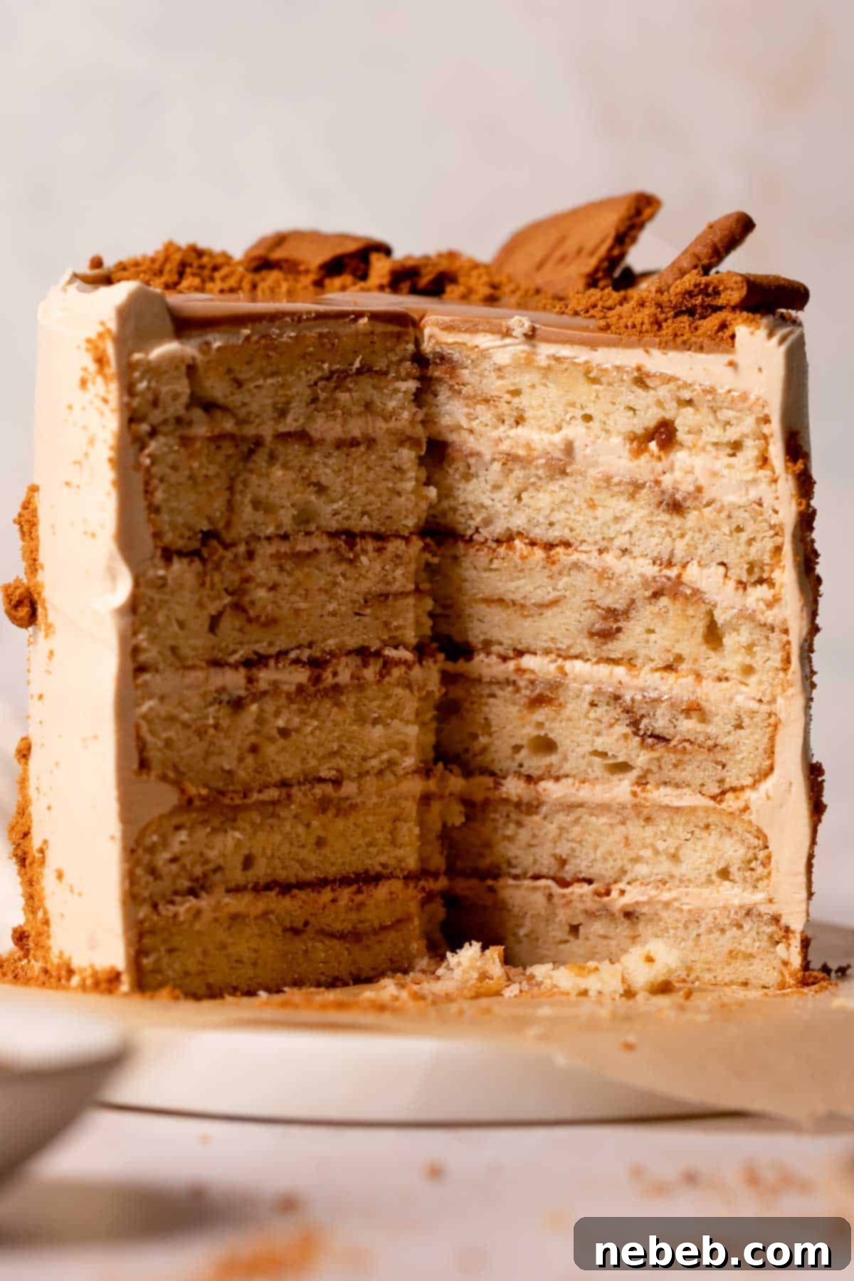 biscoff cake cut in half to show the cookie butter swirled cake layers.
