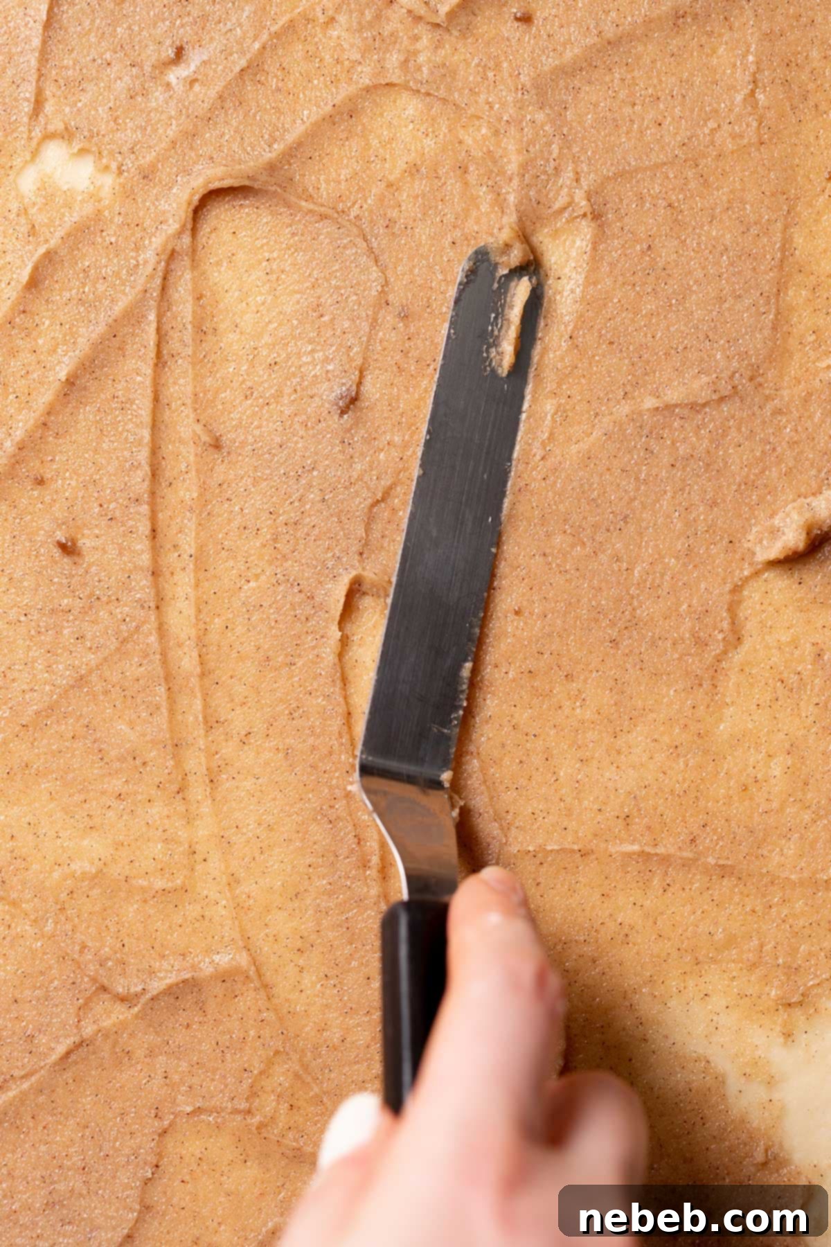 Dough rolled out into a rectangle, covered with a layer of cinnamon sugar filling.