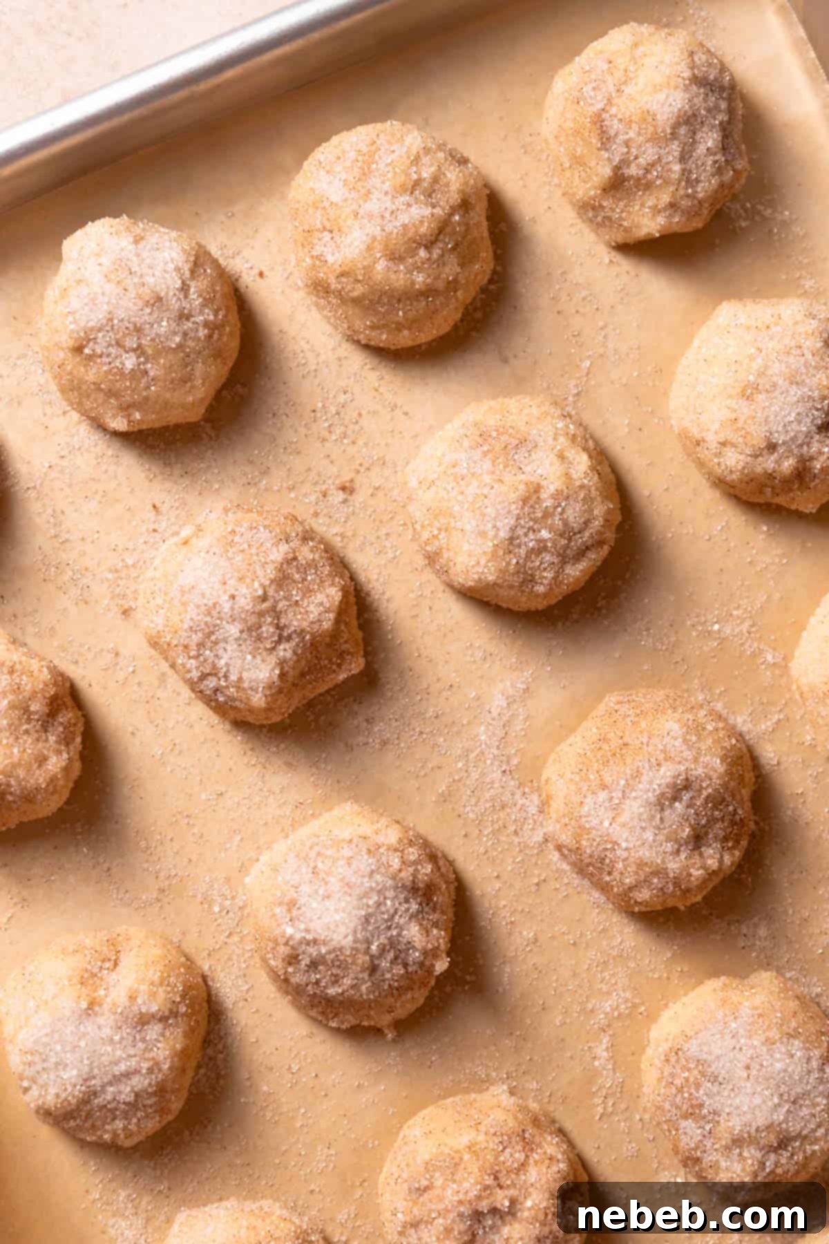 Balls of cookie dough rolled in cinnamon sugar on a parchment-lined baking tray.