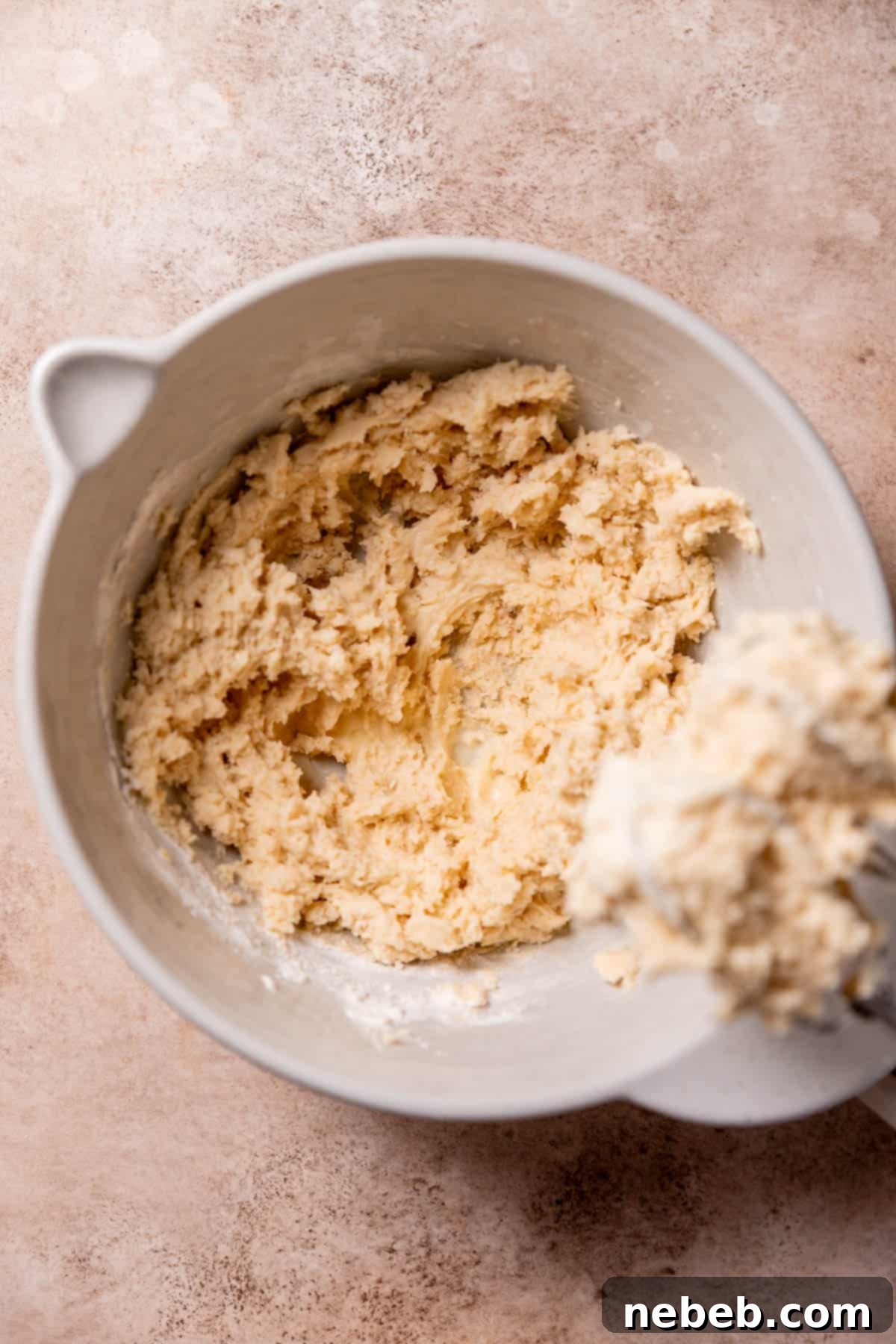 Cookie dough in a mixing bowl after the dry ingredients have been gently folded in.