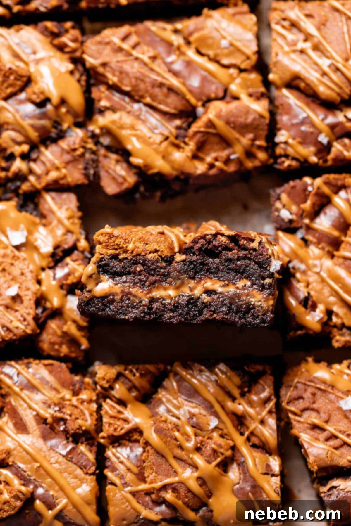 Fudgy Biscoff brownie with a thick, gooey layer of cookie butter in the center and Biscoff cookie pieces on top.