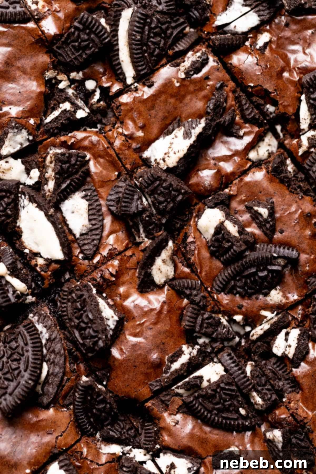 cookies and cream brownies with oreo cookies on top.