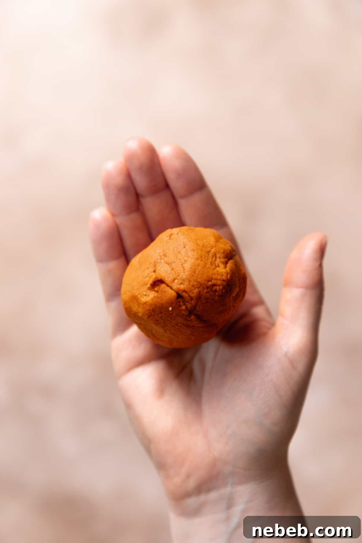 A hand gently holding a small, dense ball of blotted pumpkin puree, demonstrating its Play-Doh like consistency.