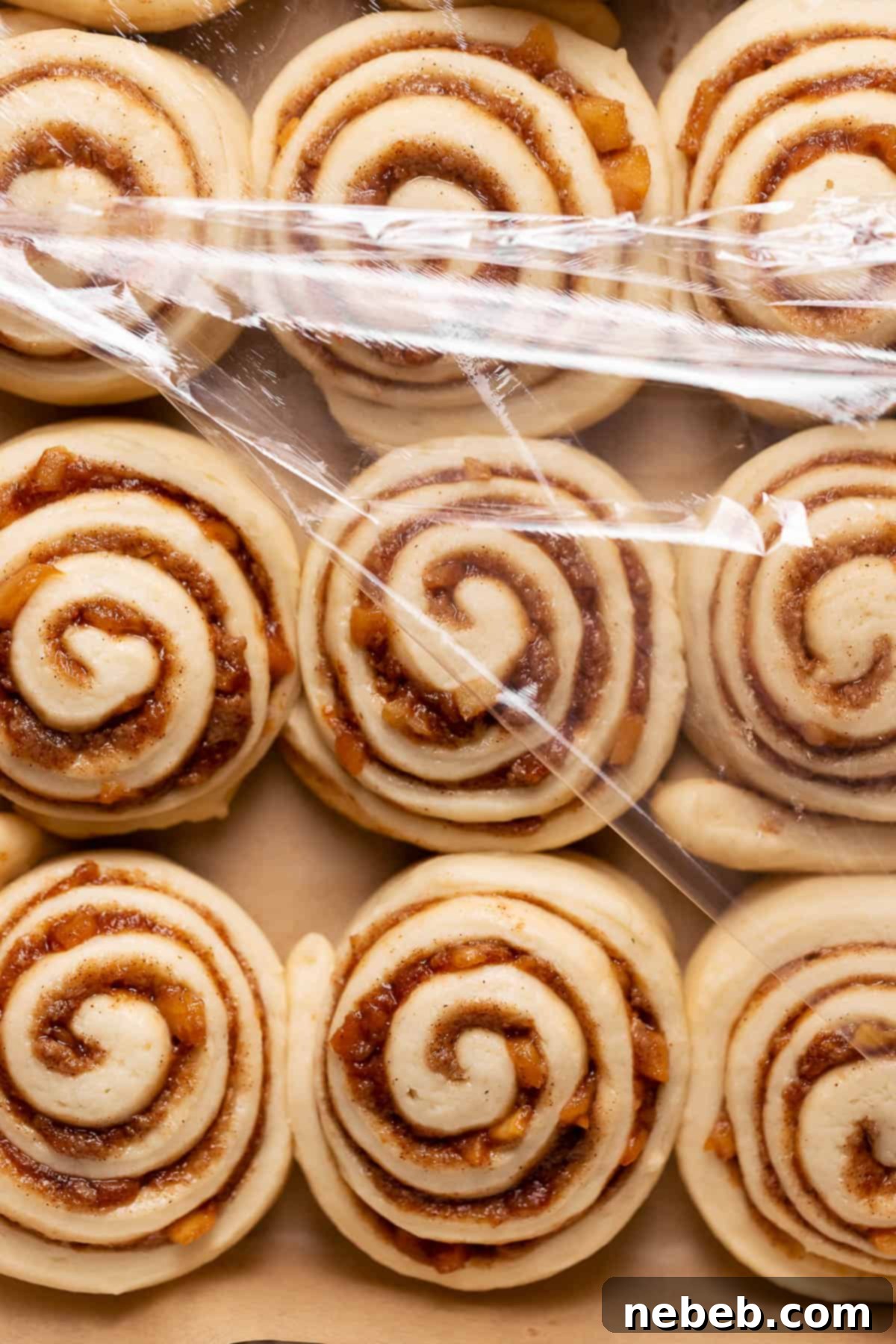 Apple rolls in a pan showing they have doubled in size.