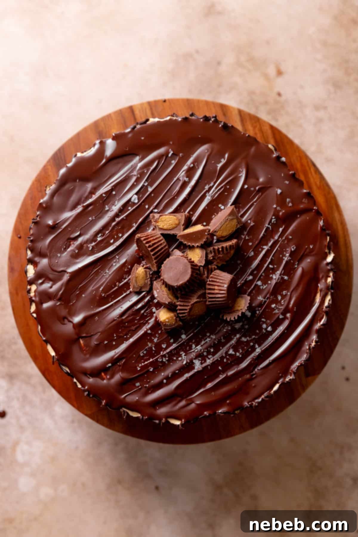 An overhead shot of the beautifully garnished top of the Reese's cake, featuring chopped peanut butter cups and a sprinkle of flaky sea salt.