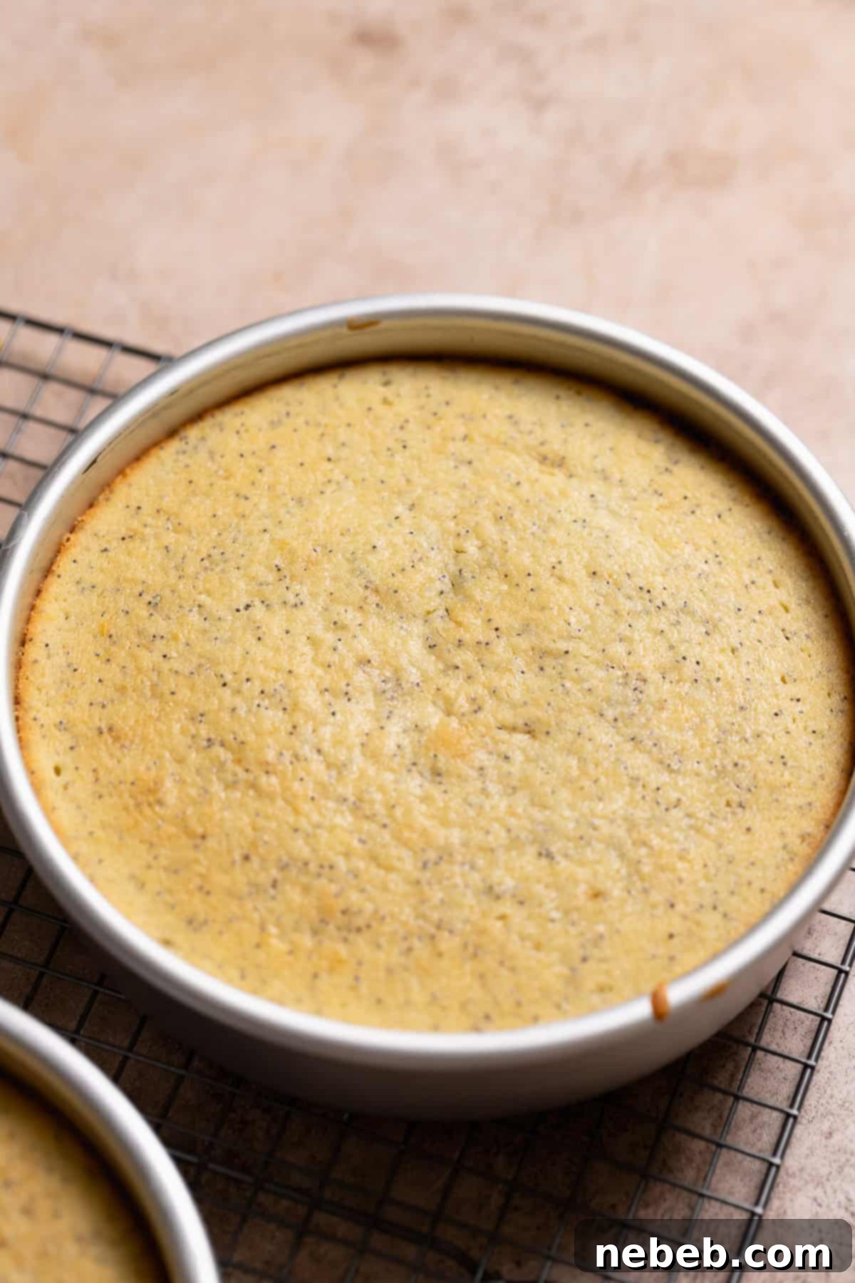 Lemon cake layers on a wire rack after baking.