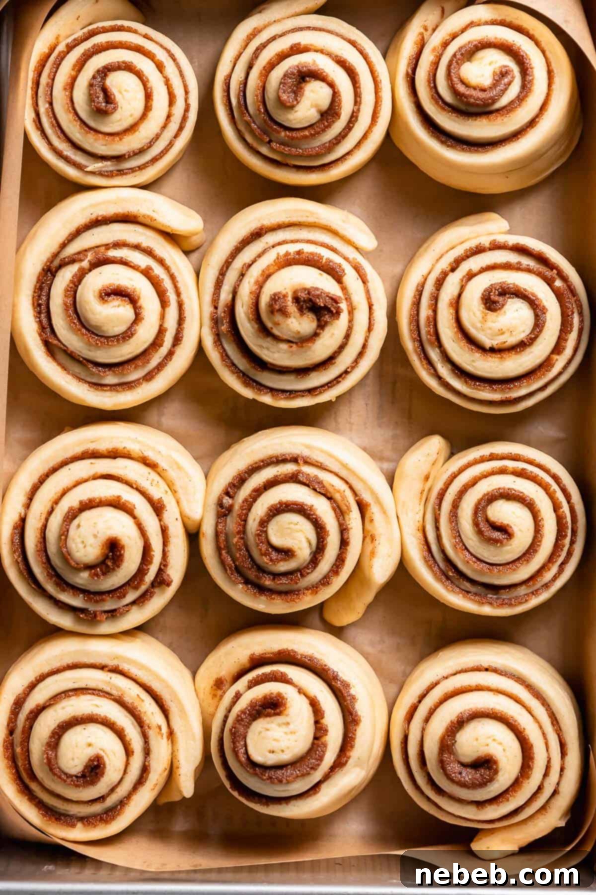 Cinnamon buns in the baking pan after doubling in size, ready for the oven.