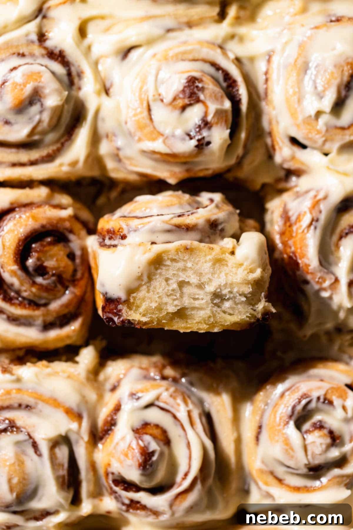 A tray of homemade cinnamon rolls, one tilted to show its gooey, fluffy layers and generous frosting.