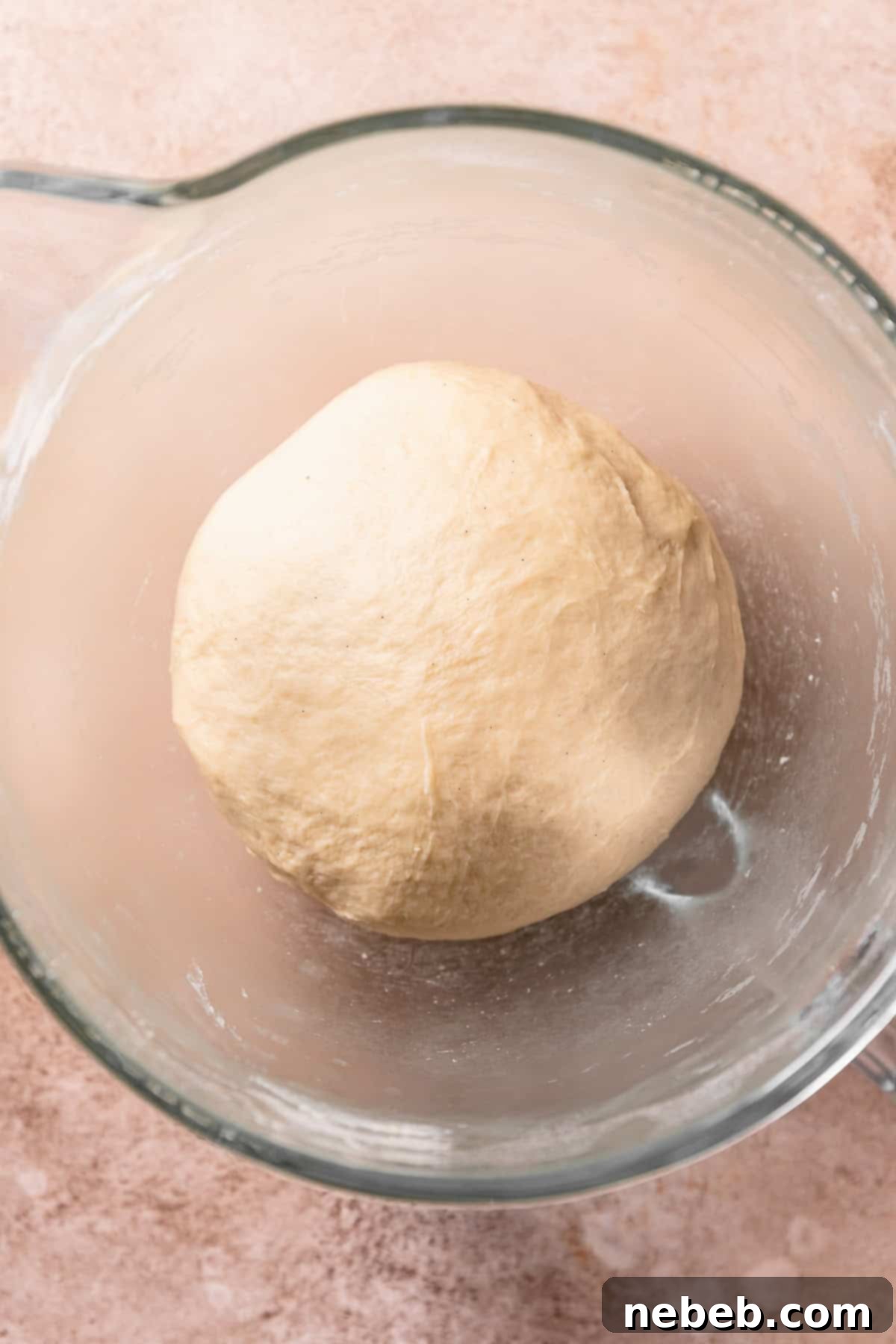 The kneaded dough ball resting in a mixing bowl, covered for its initial proof.
