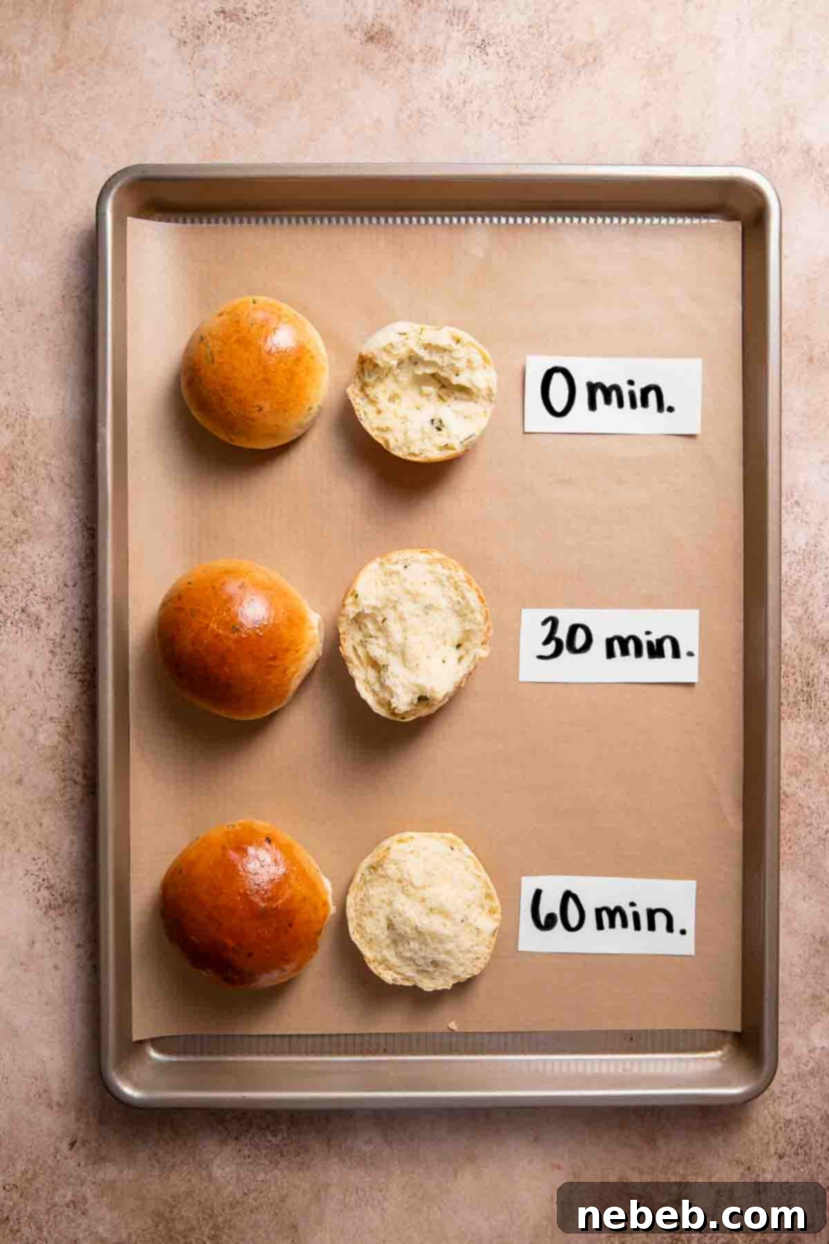 A baking pan with three different bread rolls labeled with how much time they risen before baking, showing varying textures.