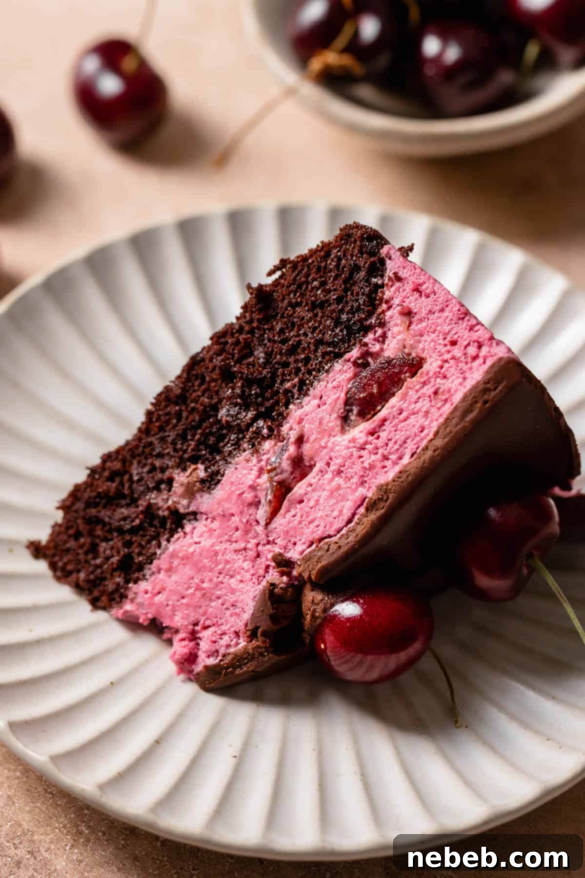 A slice of cherry chocolate cake on a white plate, showcasing the distinct layers of chocolate cake, cherry mousse, and chocolate ganache.