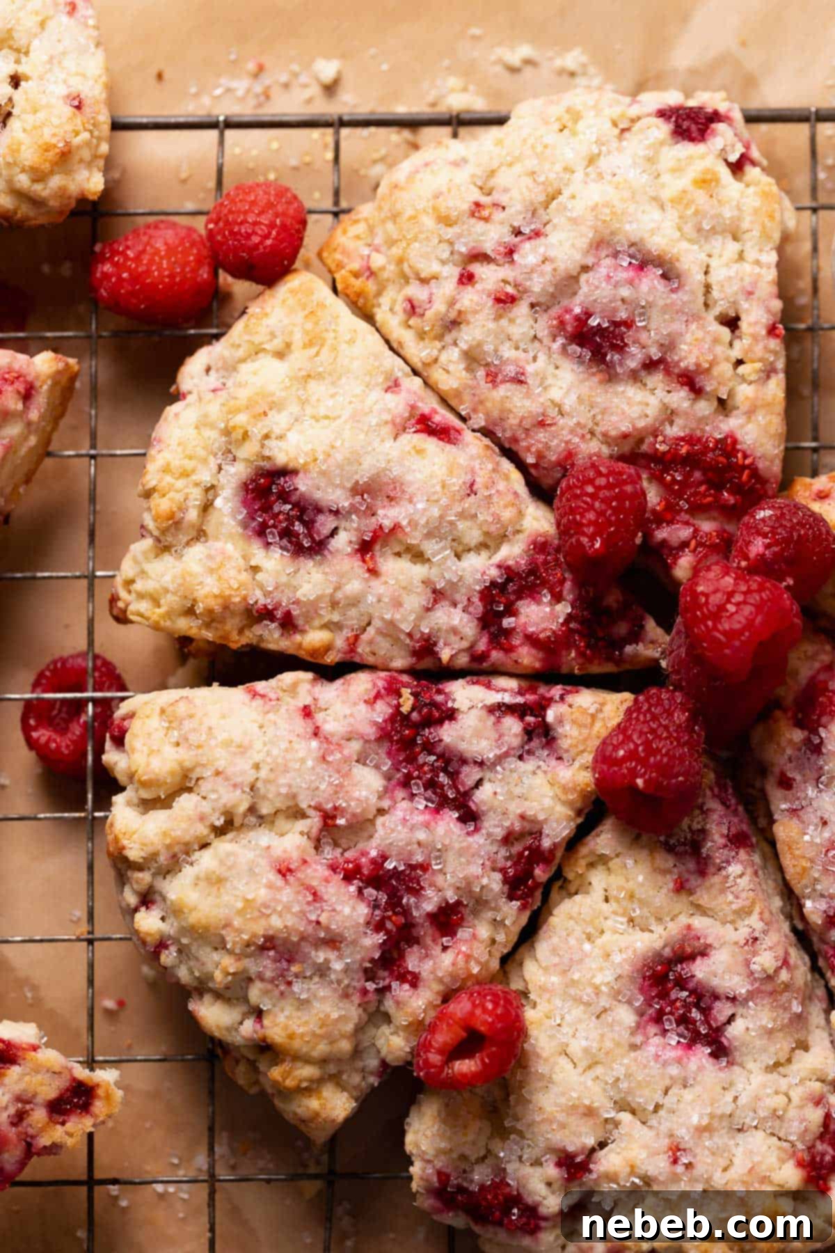 Raspberry scones topped with sugar and fresh raspberries on a wire cooling rack.