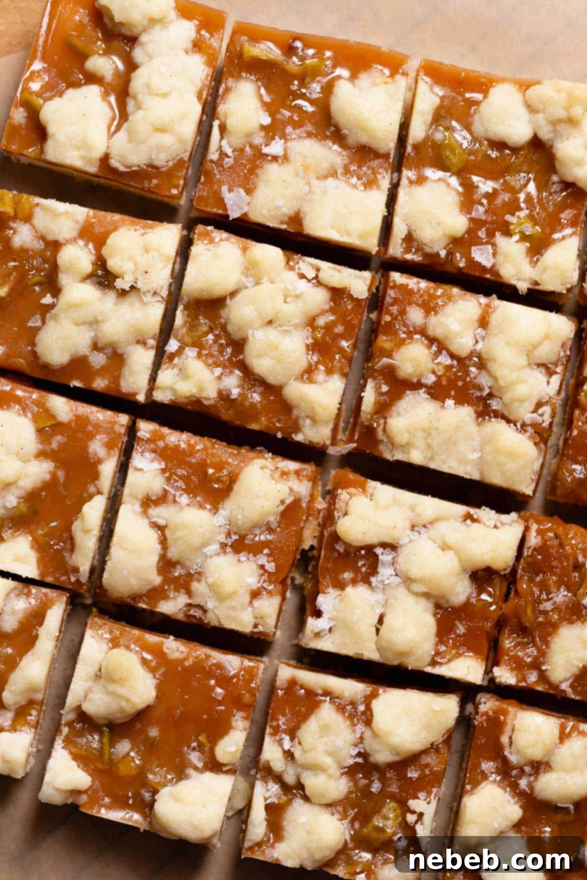 Perfectly cut apple bars topped with glistening flaky sea salt, ready to be served.