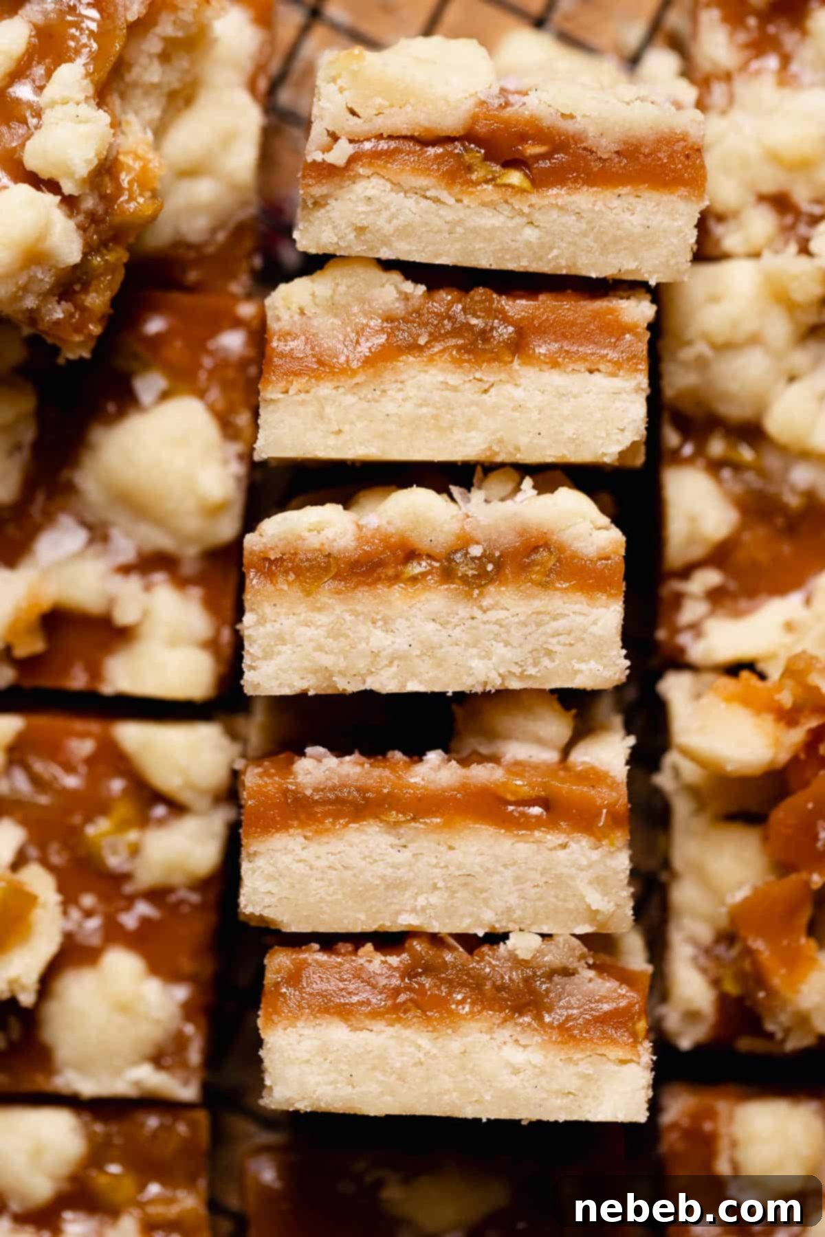 Rows of perfectly cut salted caramel apple bars, ready to be enjoyed.