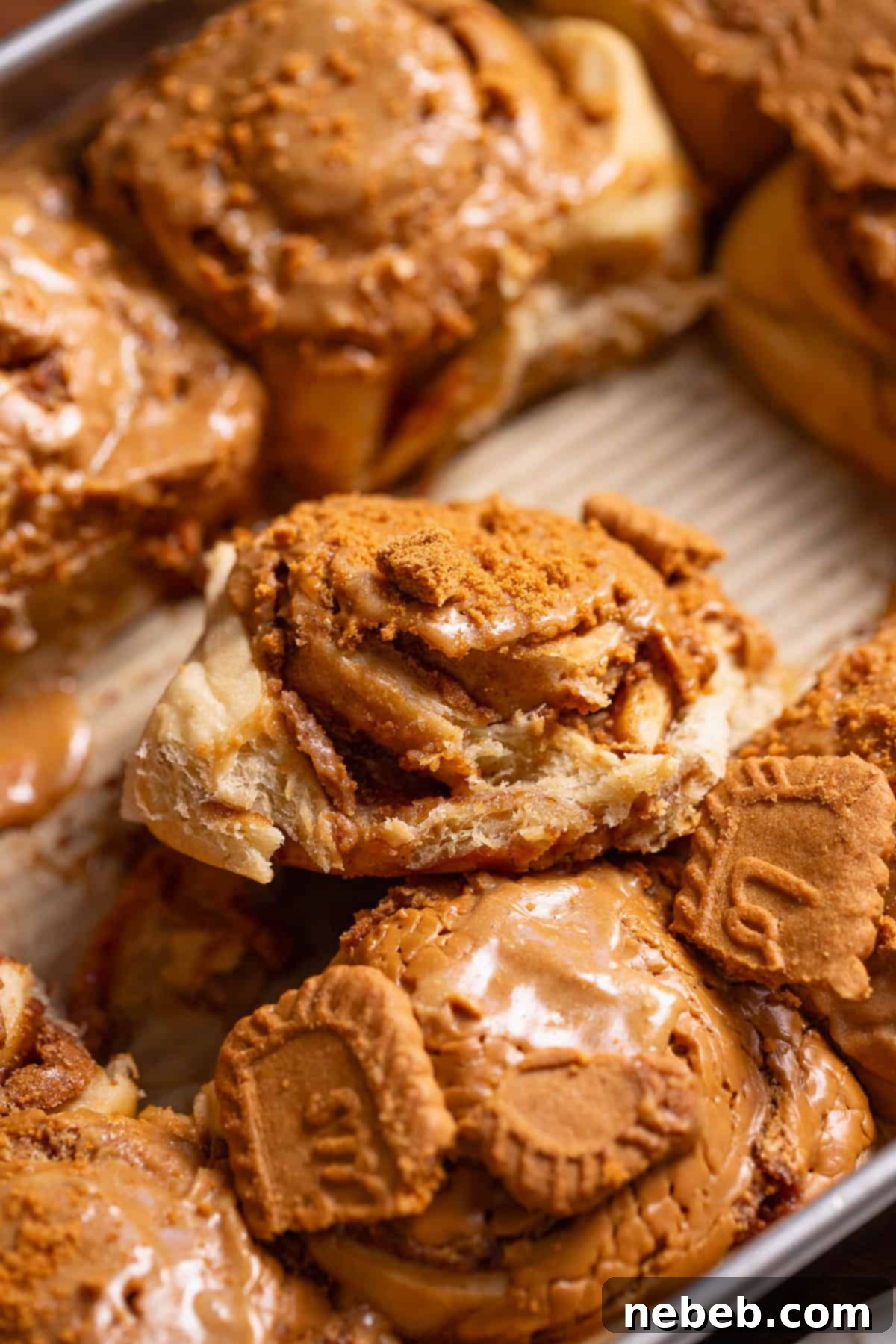 Delicious cookie butter cinnamon rolls freshly baked in a pan, topped with melting cookie butter and awaiting glaze.