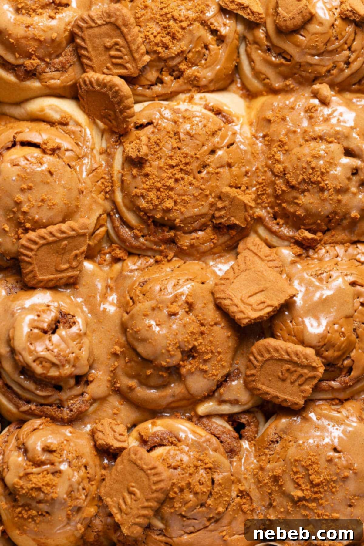 Biscoff cinnamon rolls in a baking pan, garnished with melted cookie butter and glaze.