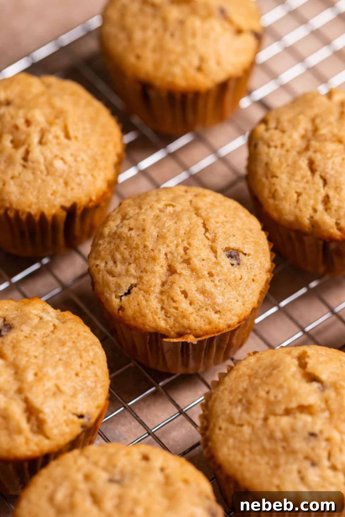 Oatmeal chocolate chip cupcakes cooling on a wire rack, with a view of the golden-brown tops.