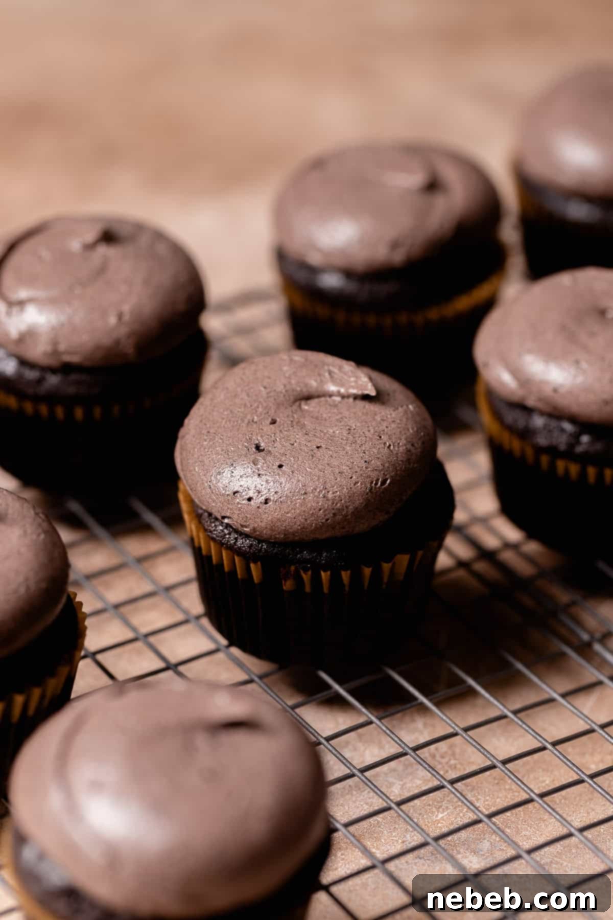 Black cupcakes on a wire rack with black buttercream swirled on top.