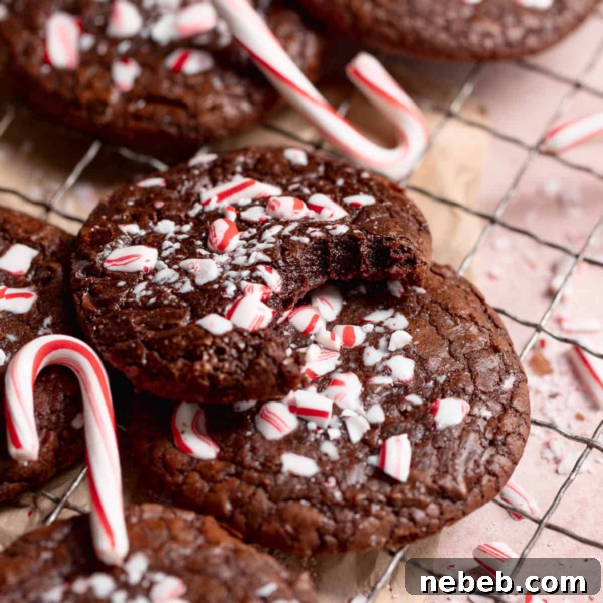 Double chocolate peppermint cookie with a bite taken out of it, showcasing its rich, fudgy interior and festive topping.
