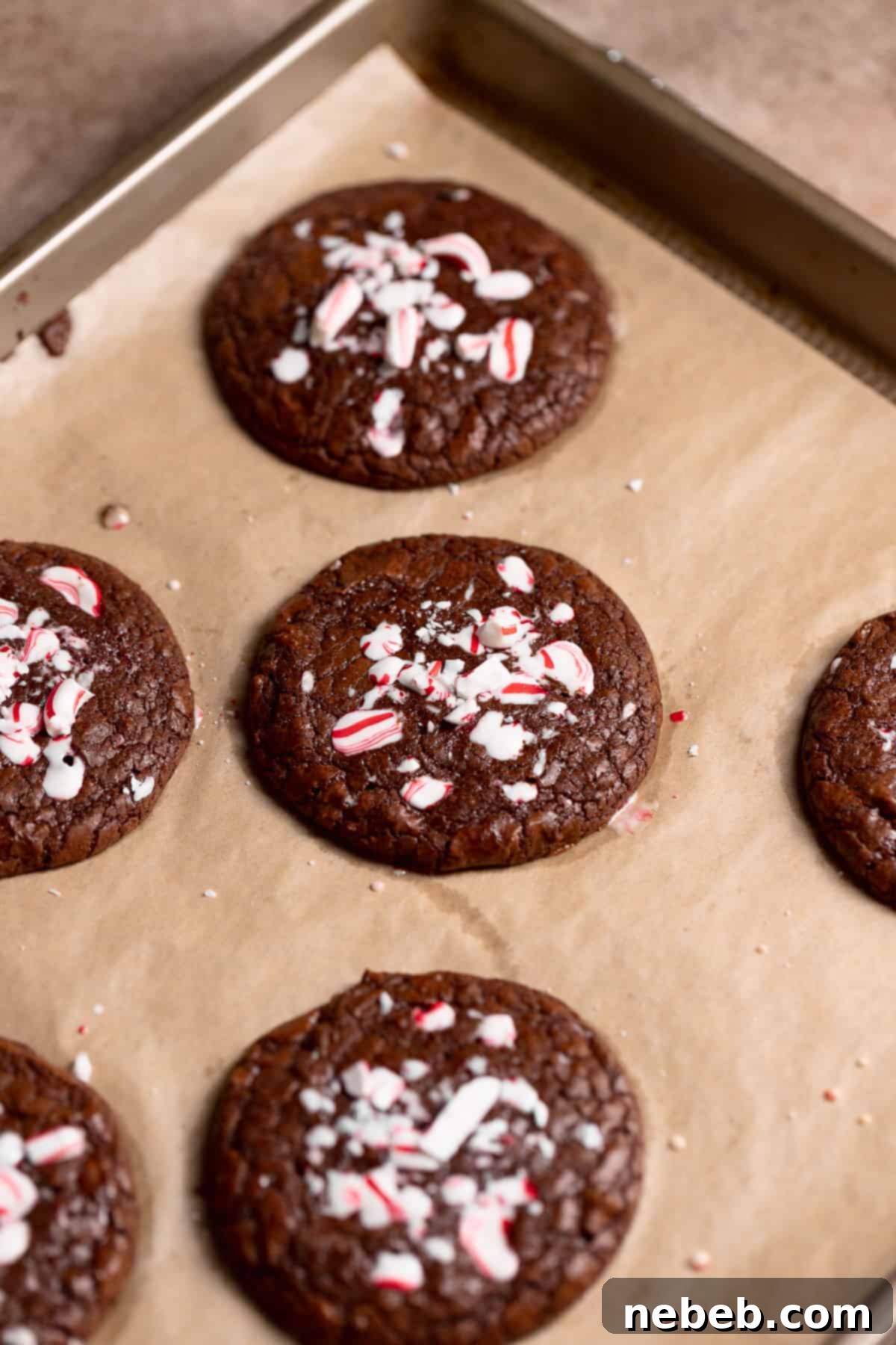 Freshly baked double chocolate peppermint cookies cooling on a wire rack directly on the baking tray, maintaining their perfect shape and topping.