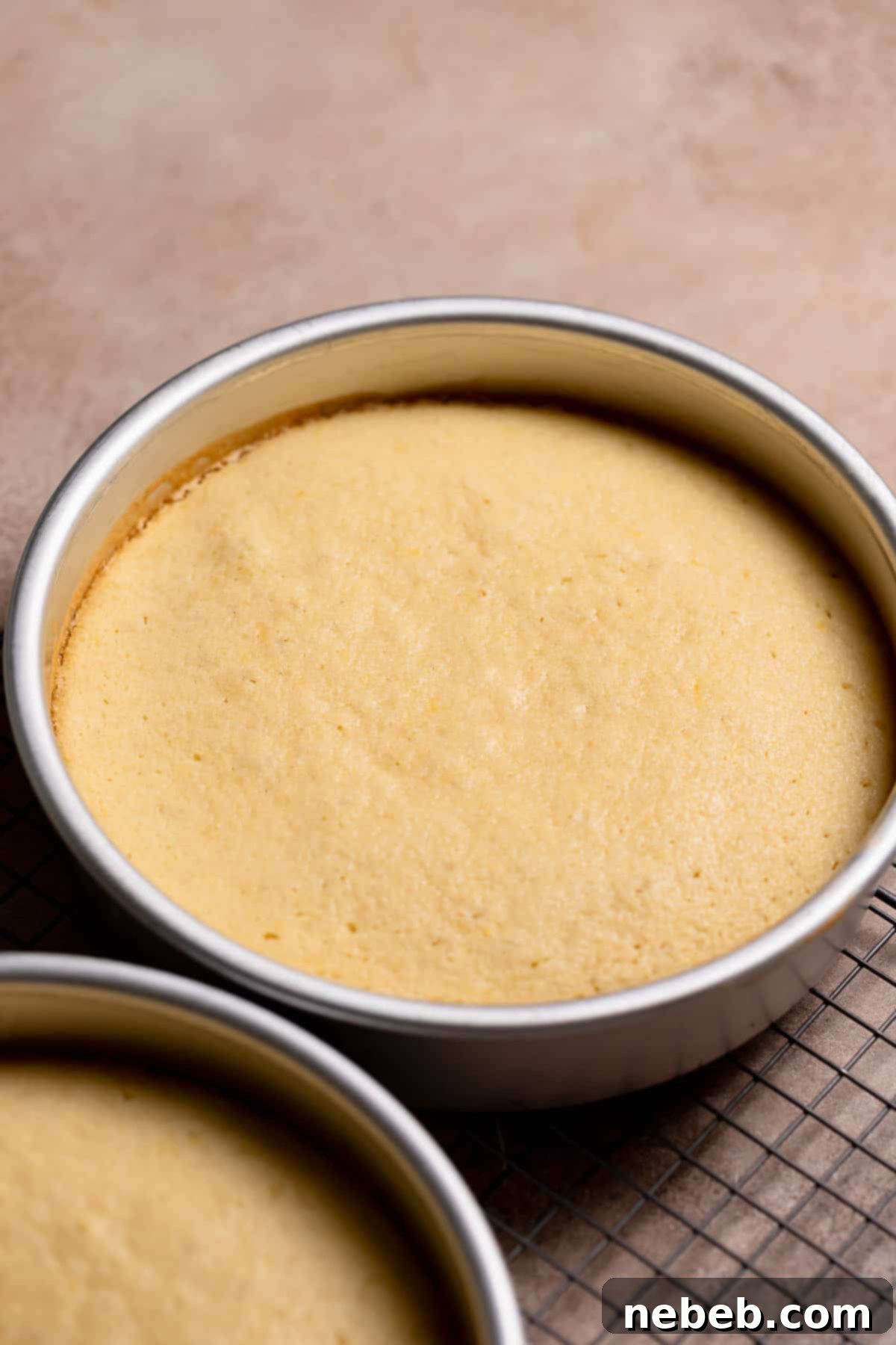Zesty Lemon Raspberry Delight 7 A freshly baked lemon cake layer cooling on a wire rack, still in its cake pan, showing a golden-brown top.