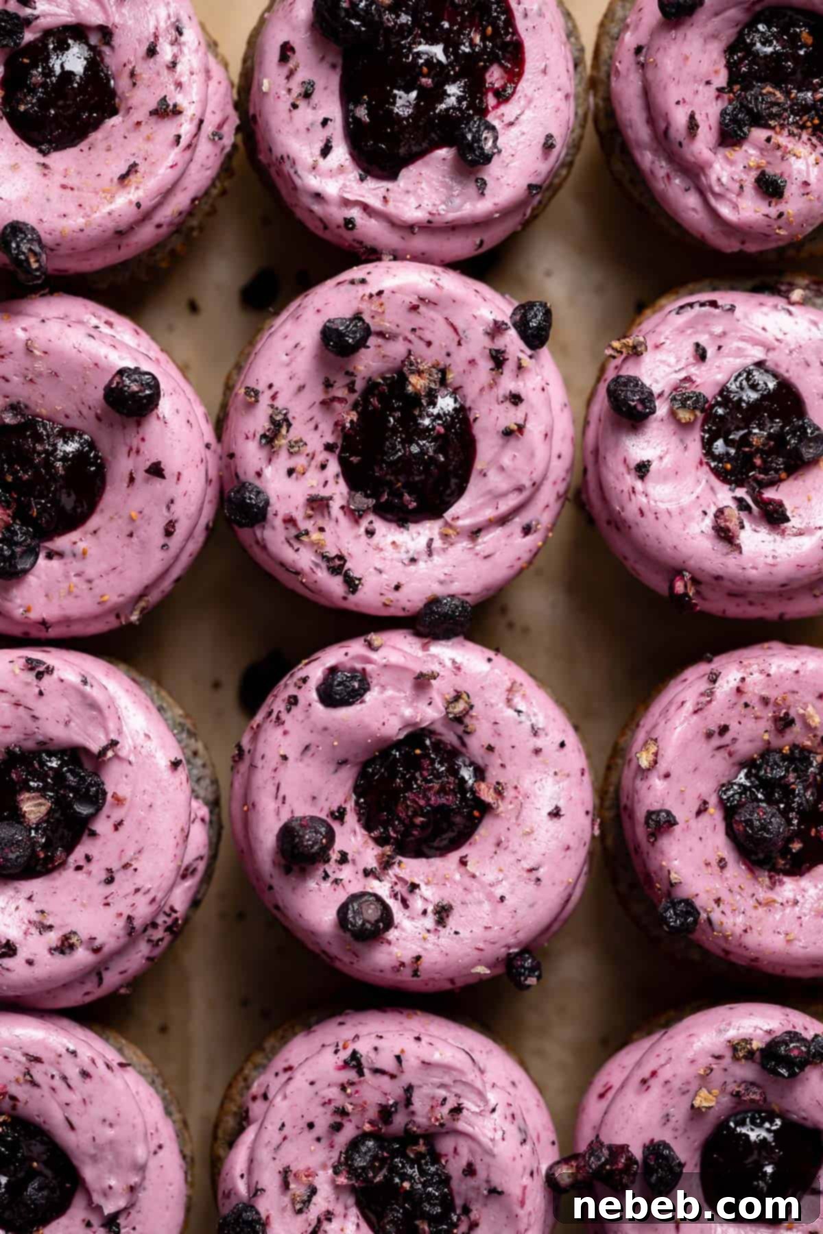 An overhead shot of the tops of the blueberry cupcakes.