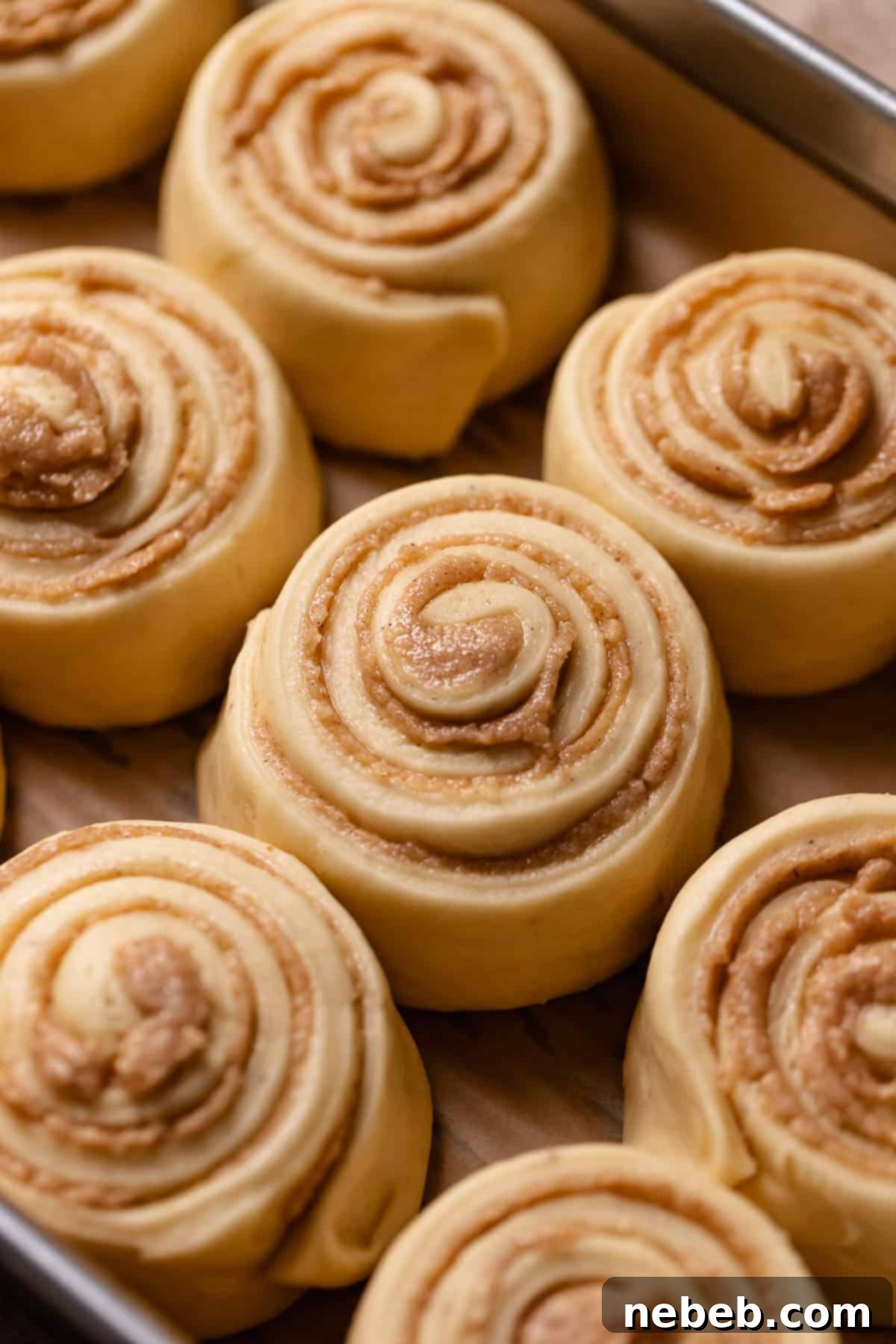 Almond rolls in a baking pan touching to show they have doubled in size.