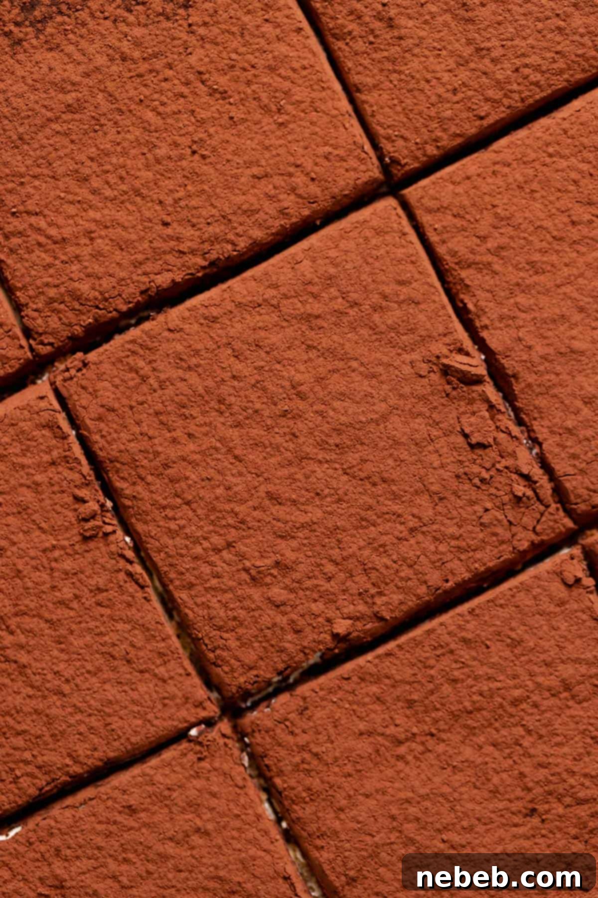 The finished tiramisu brownies, dusted with cocoa powder and neatly cut into squares.