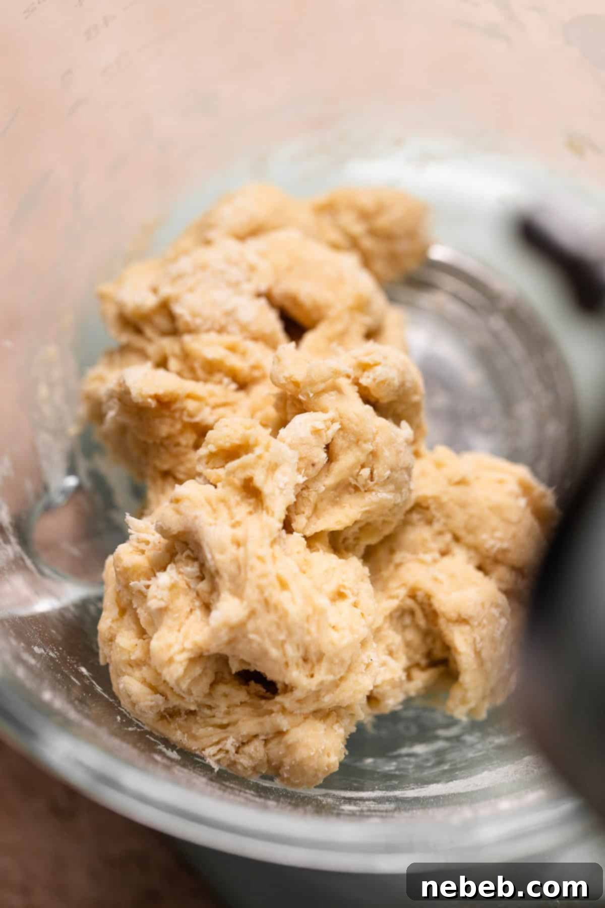Rough dough ball in a mixing bowl.