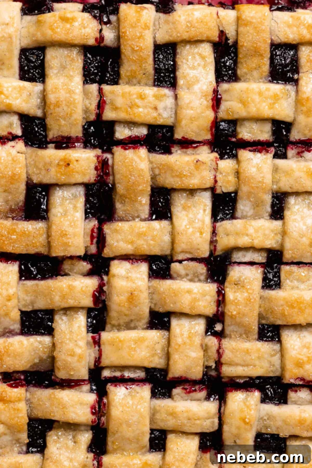 A close up shot of the baked blueberry bars cut into squares.