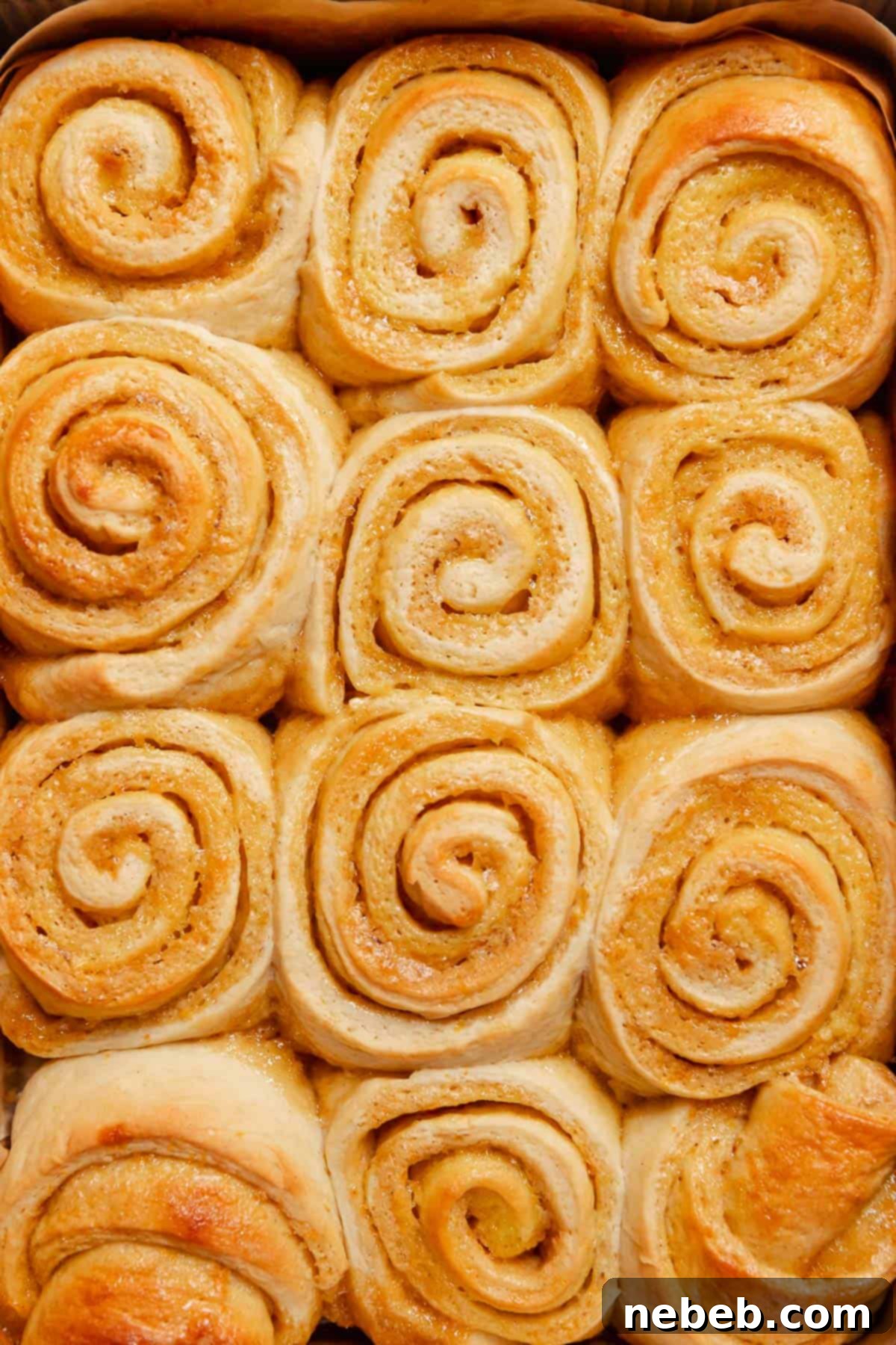 Baked orange rolls in a baking pan with golden brown tops.