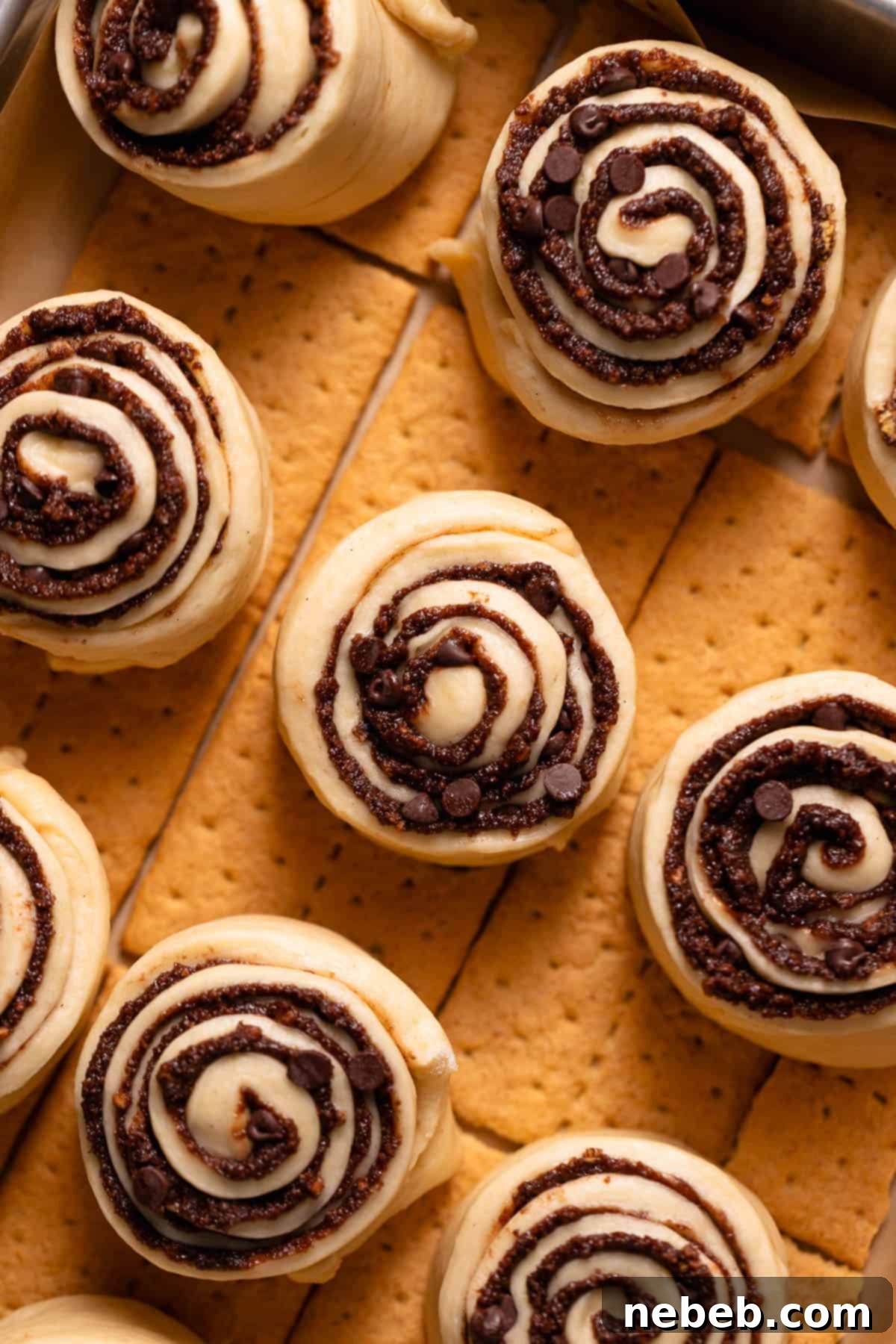 S'mores cinnamon rolls arranged neatly in a baking pan, sitting on top of the graham cracker sheets, ready for their final rise.