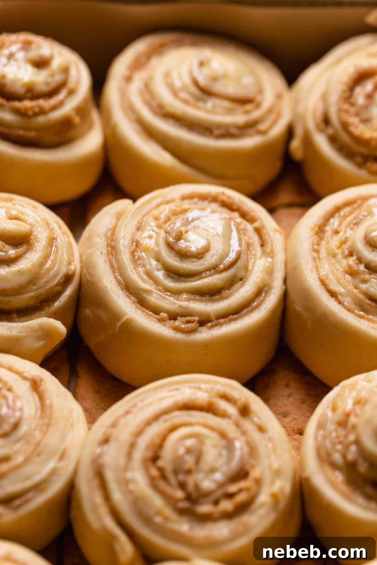 Key lime pie rolls in a baking pan barely touching before baking.