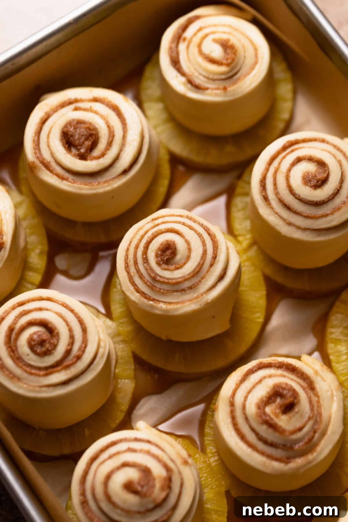Cinnamon rolls sitting on top of the pineapple and caramel in a baking pan.