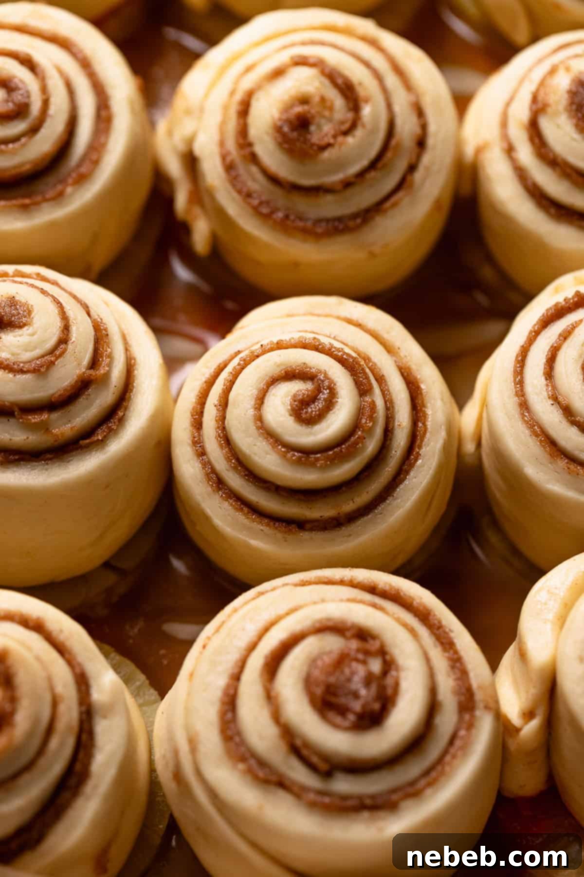 An overhead shot of the cinnamon rolls doubled in size and touching each other.