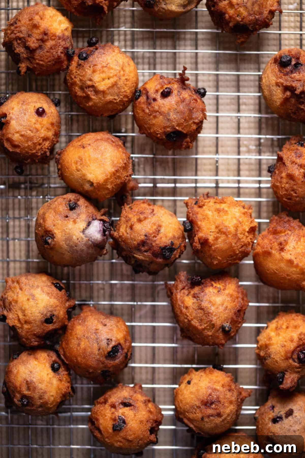 Mini blueberry donuts fried to golden brown on a wire rack cooling.