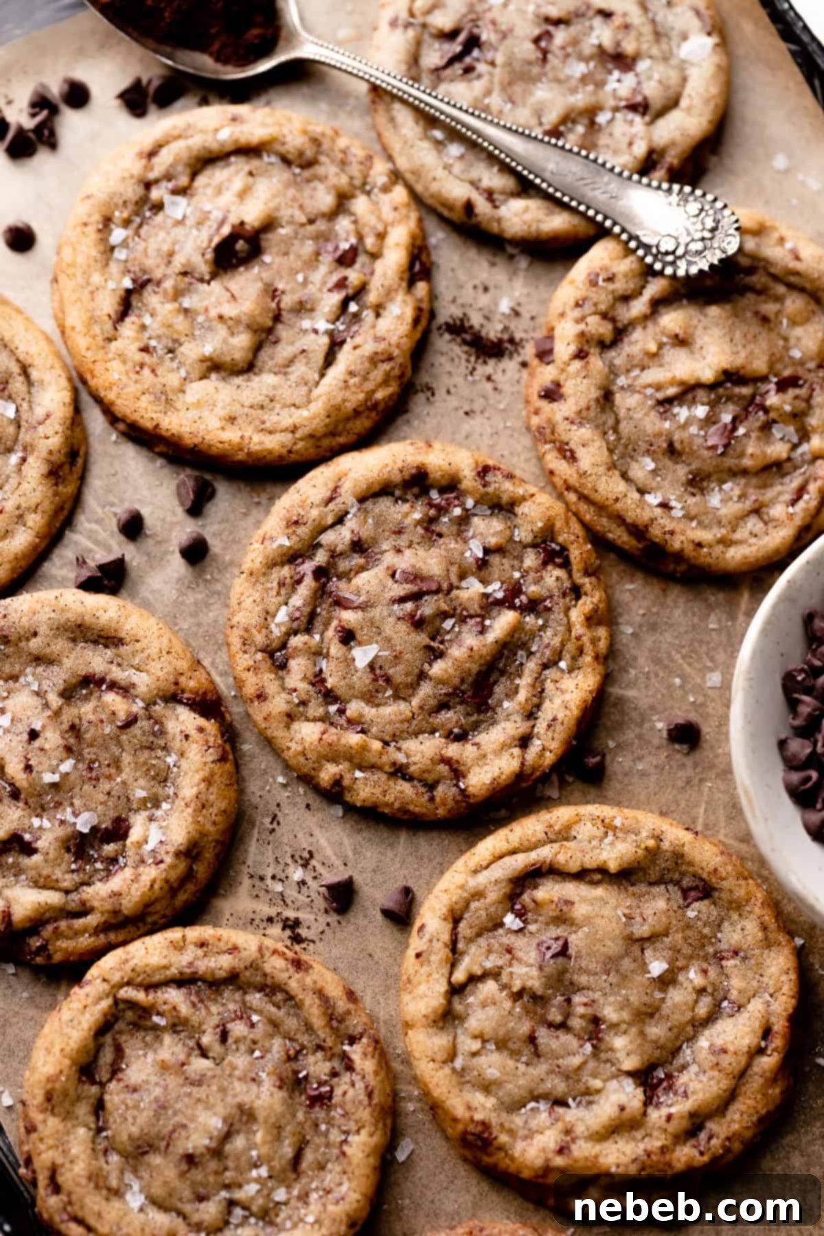 Coffee Kissed Chocolate Chip Cookies 2 espresso chocolate chip cookies topped with flaky sea salt, highlighting their rich color and texture.